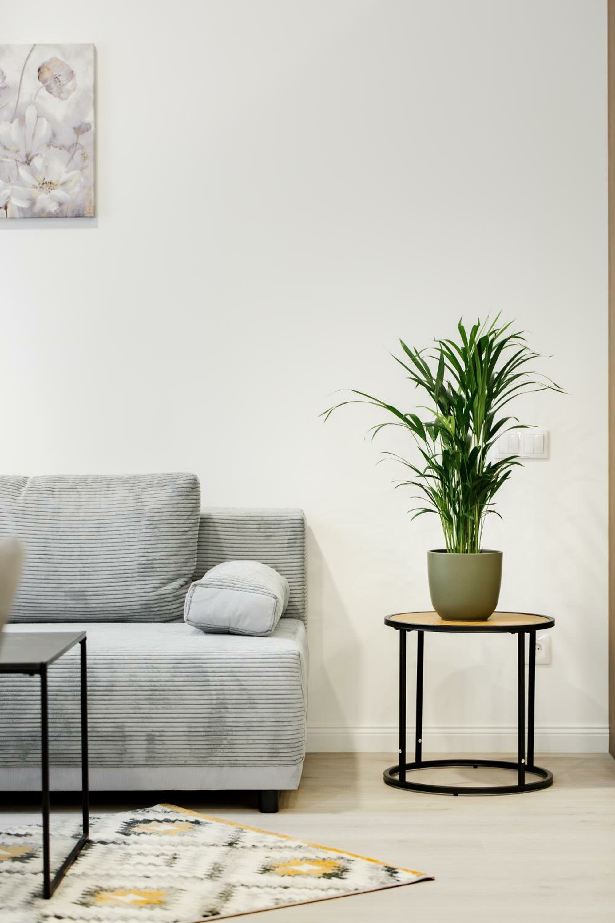 Superior One-Bedroom Apartment