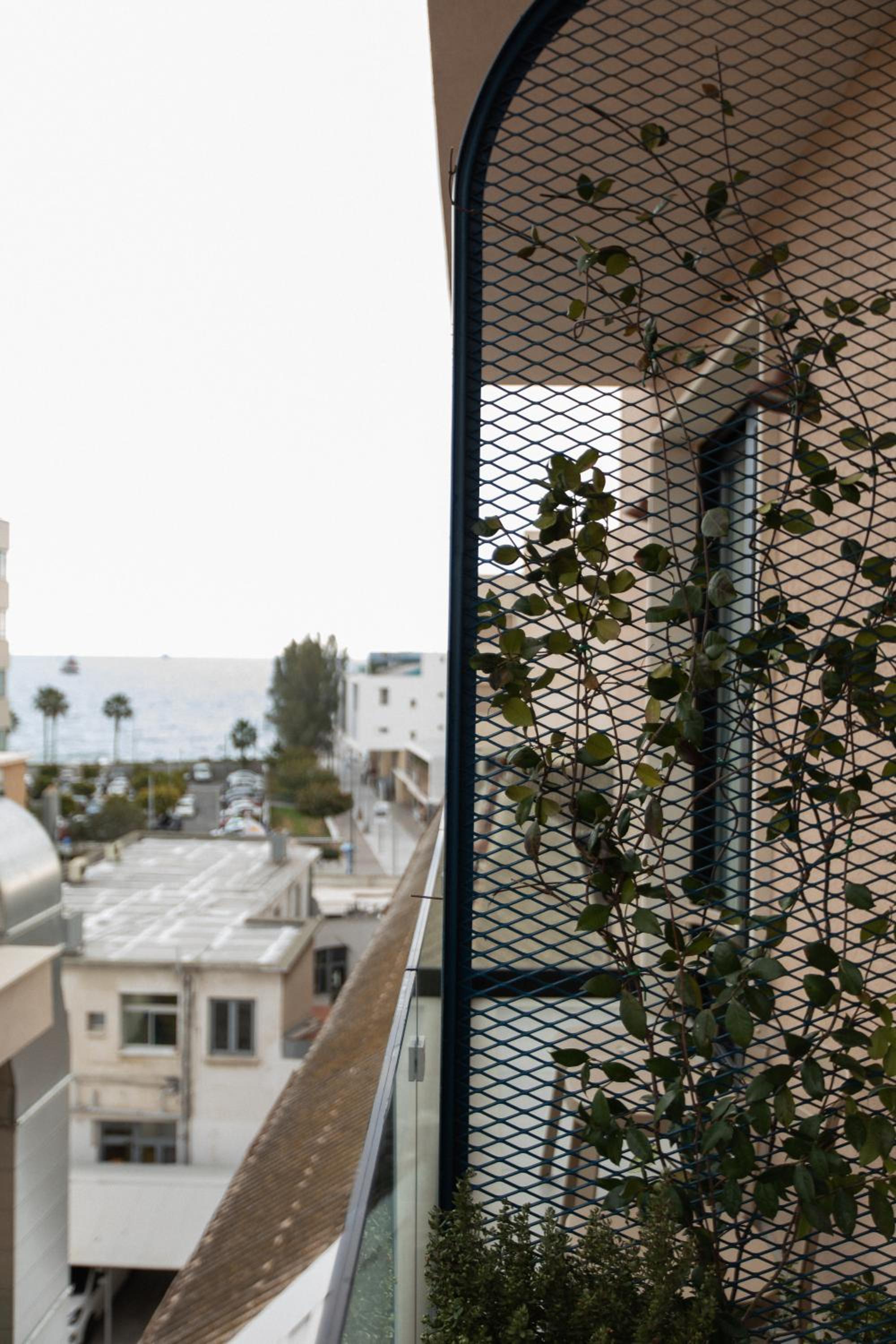 Superior City View Room