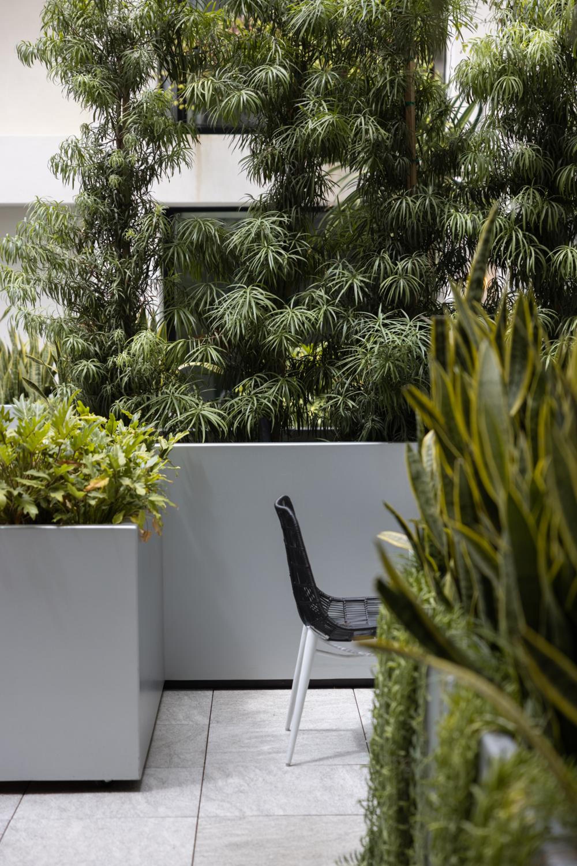   Element Lounge Access, Garden Terrace King