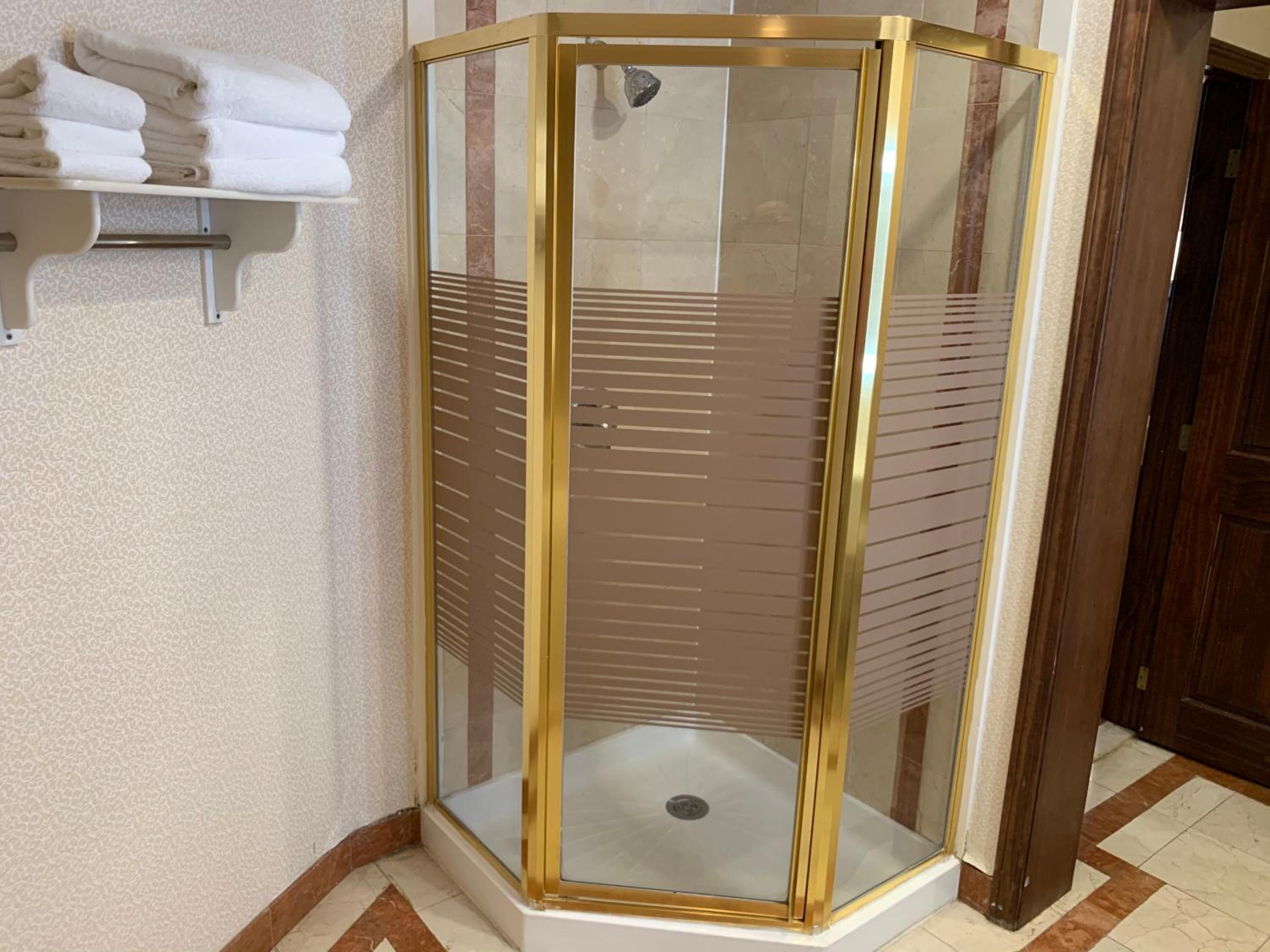 Deluxe King Studio Suite with Lake View - Non-Smoking