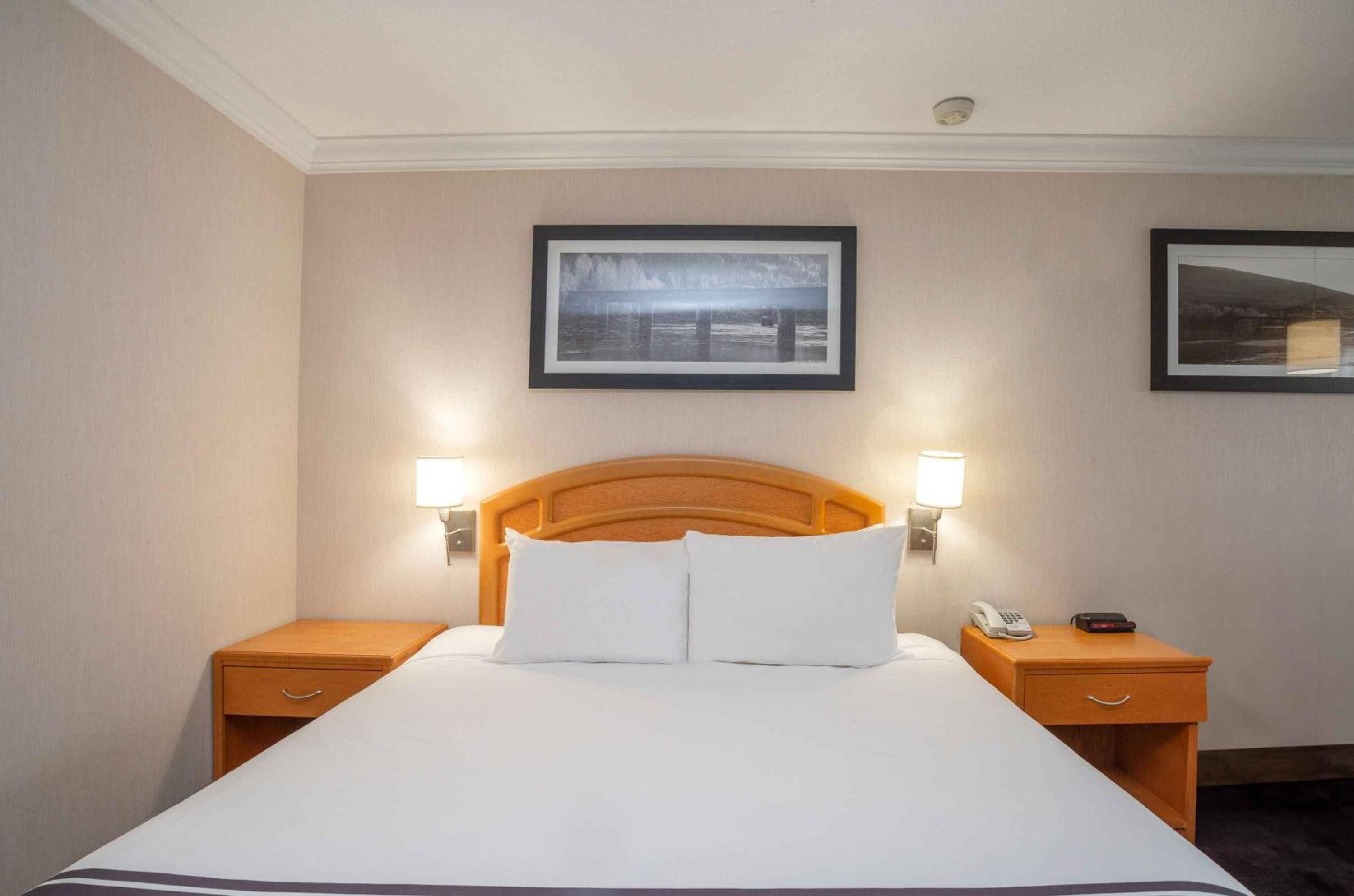 Standard Room, 1 King Bed, Monashee Building