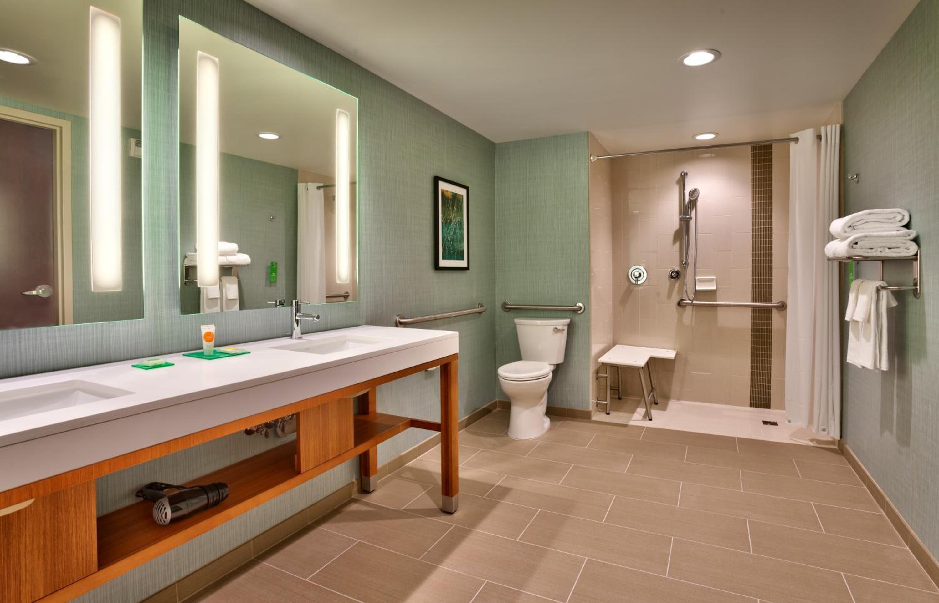 King Room with Sofa Bed and Roll-In Shower - Disability Access