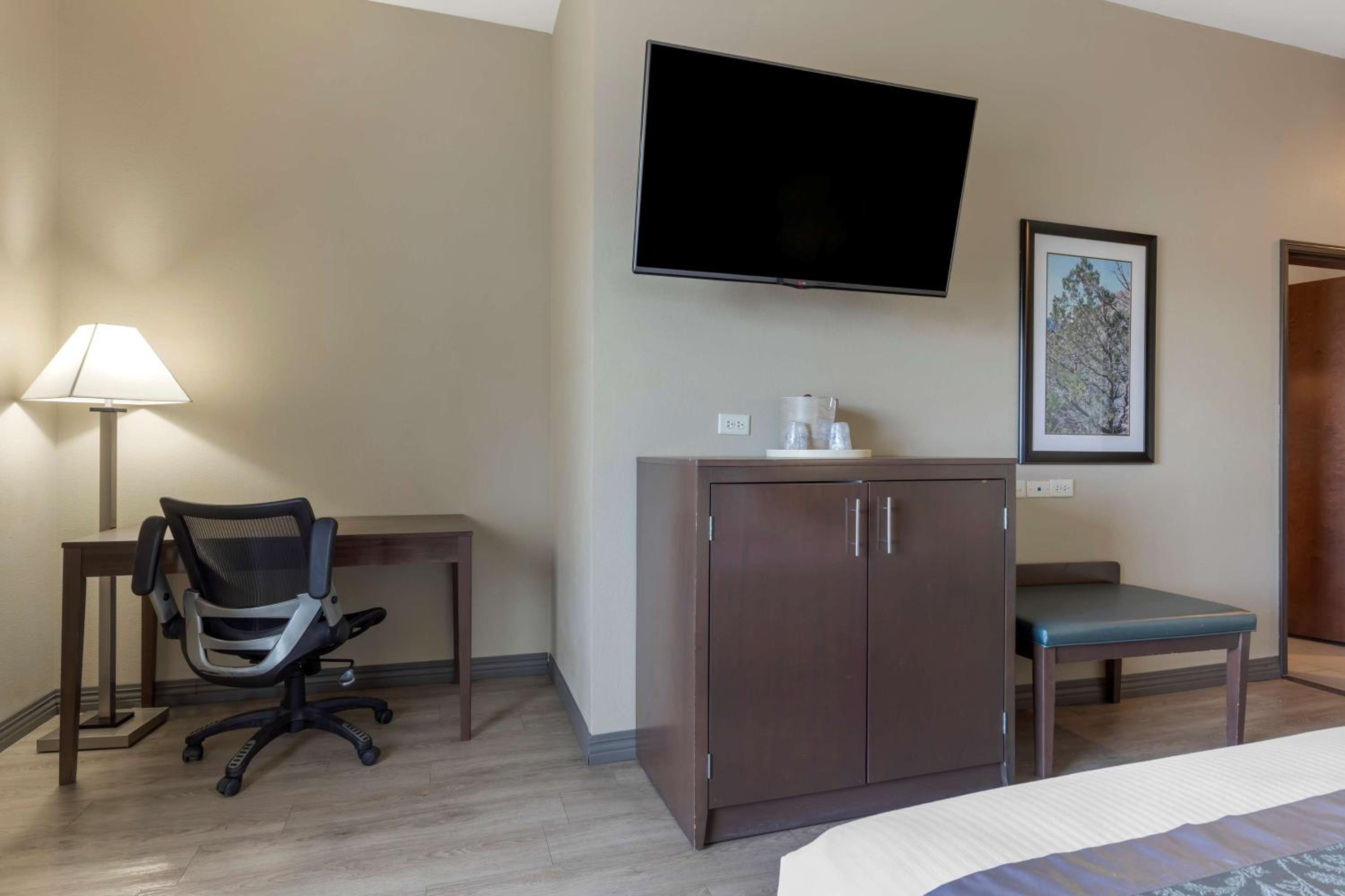 King Room with Roll-in Shower - Pet Friendly/Mobility Accessible