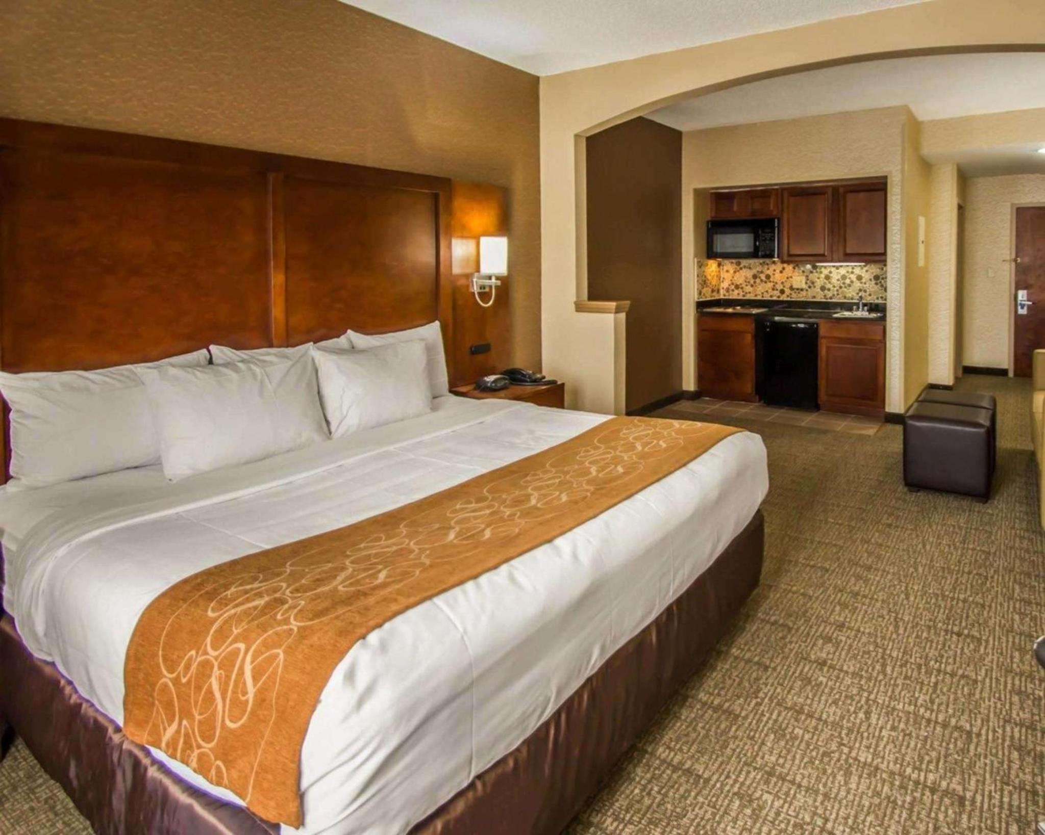Efficiency King Suite with Kitchenette 
