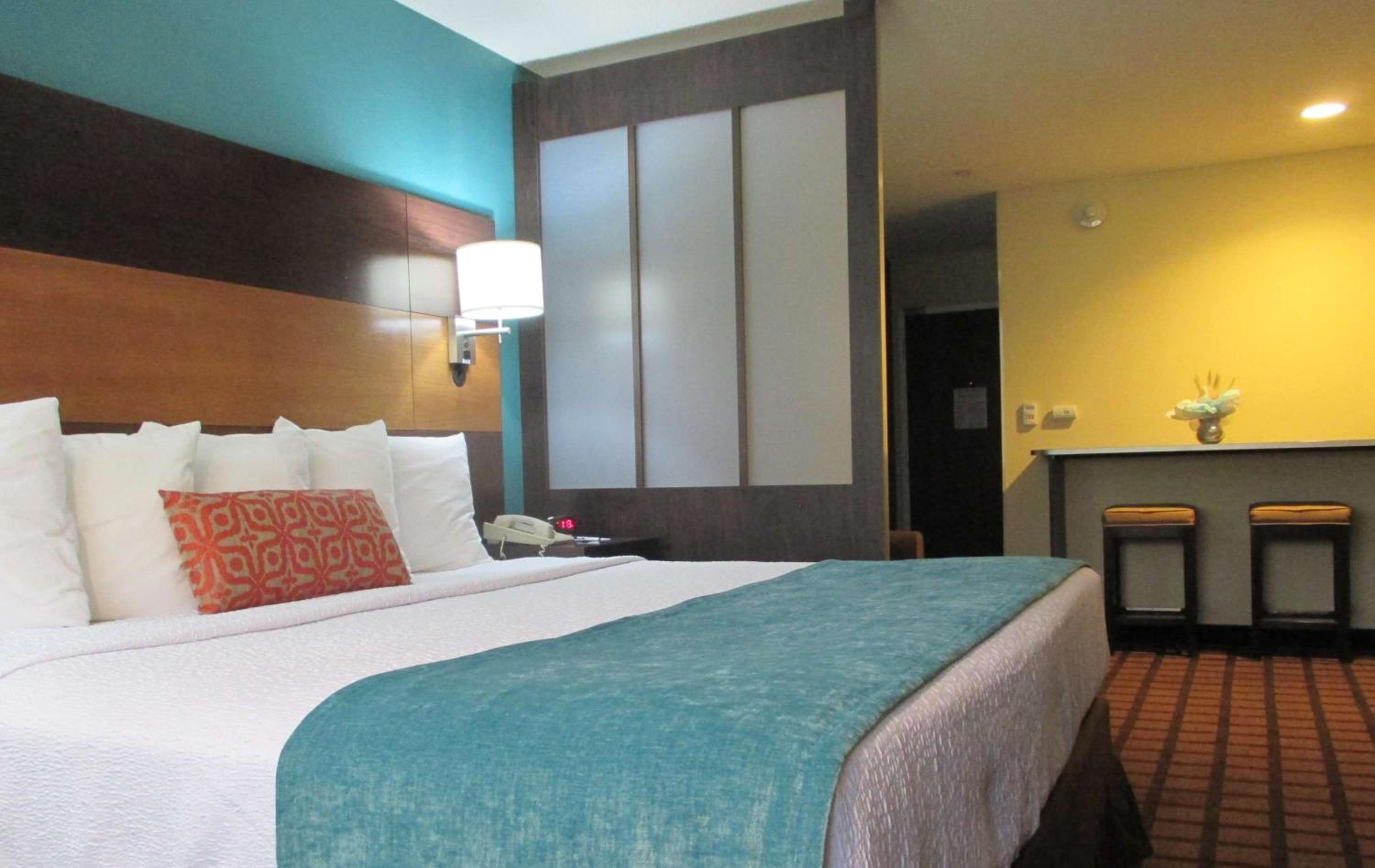 King Room with Roll-In Shower - Mobility Access