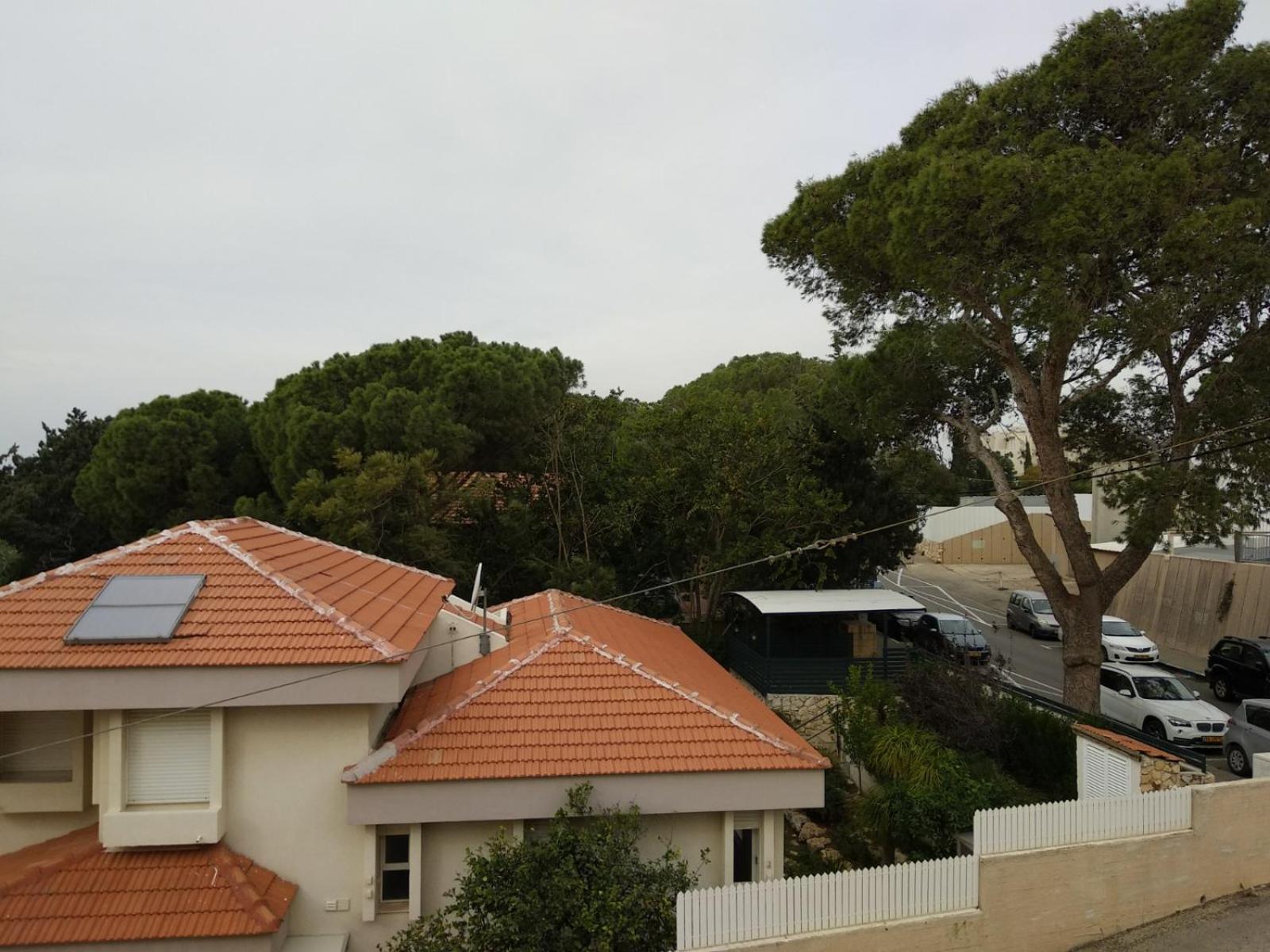 Apartment With Garden