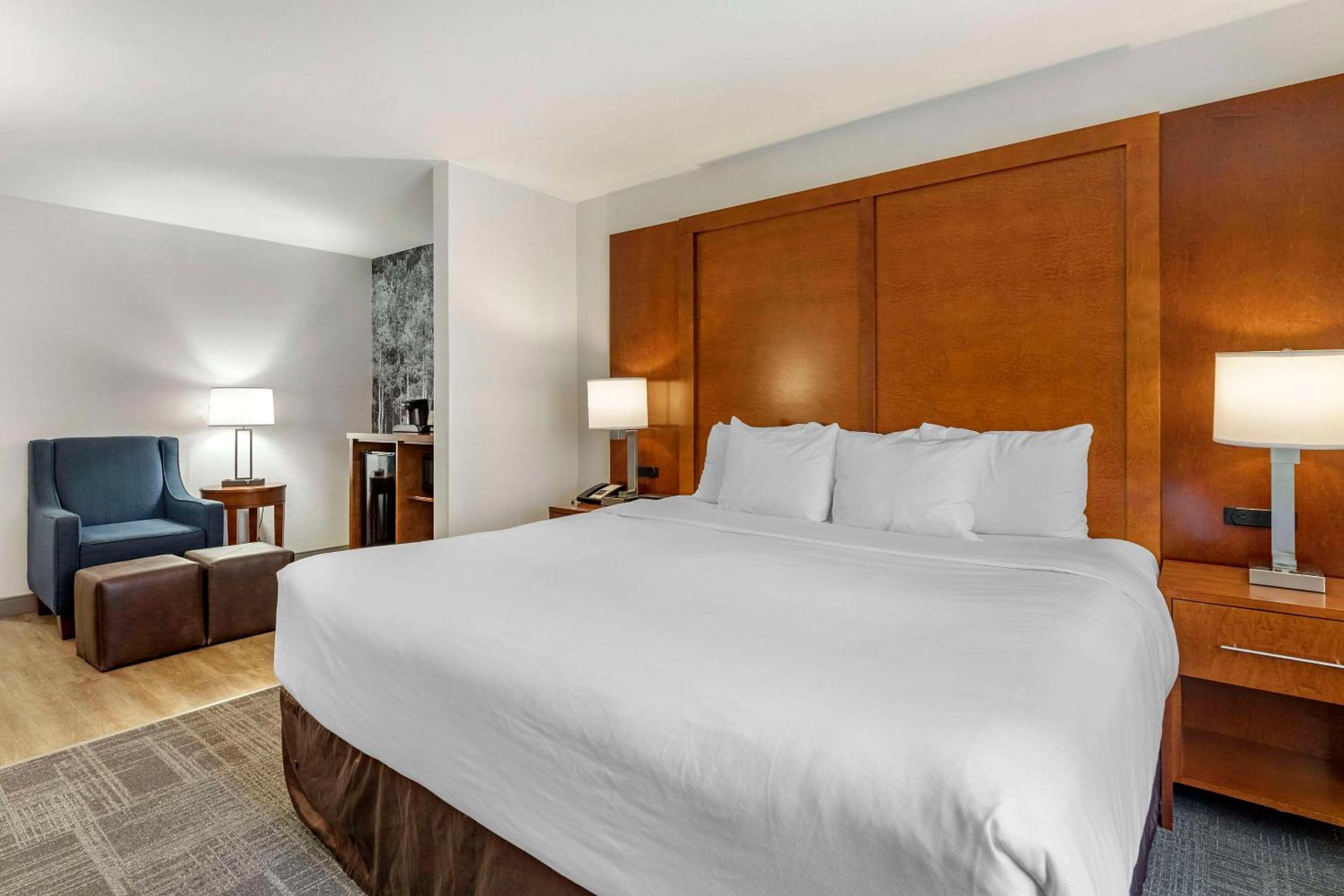 King Room - Accessible/Non-Smoking (No Pets Allowed)