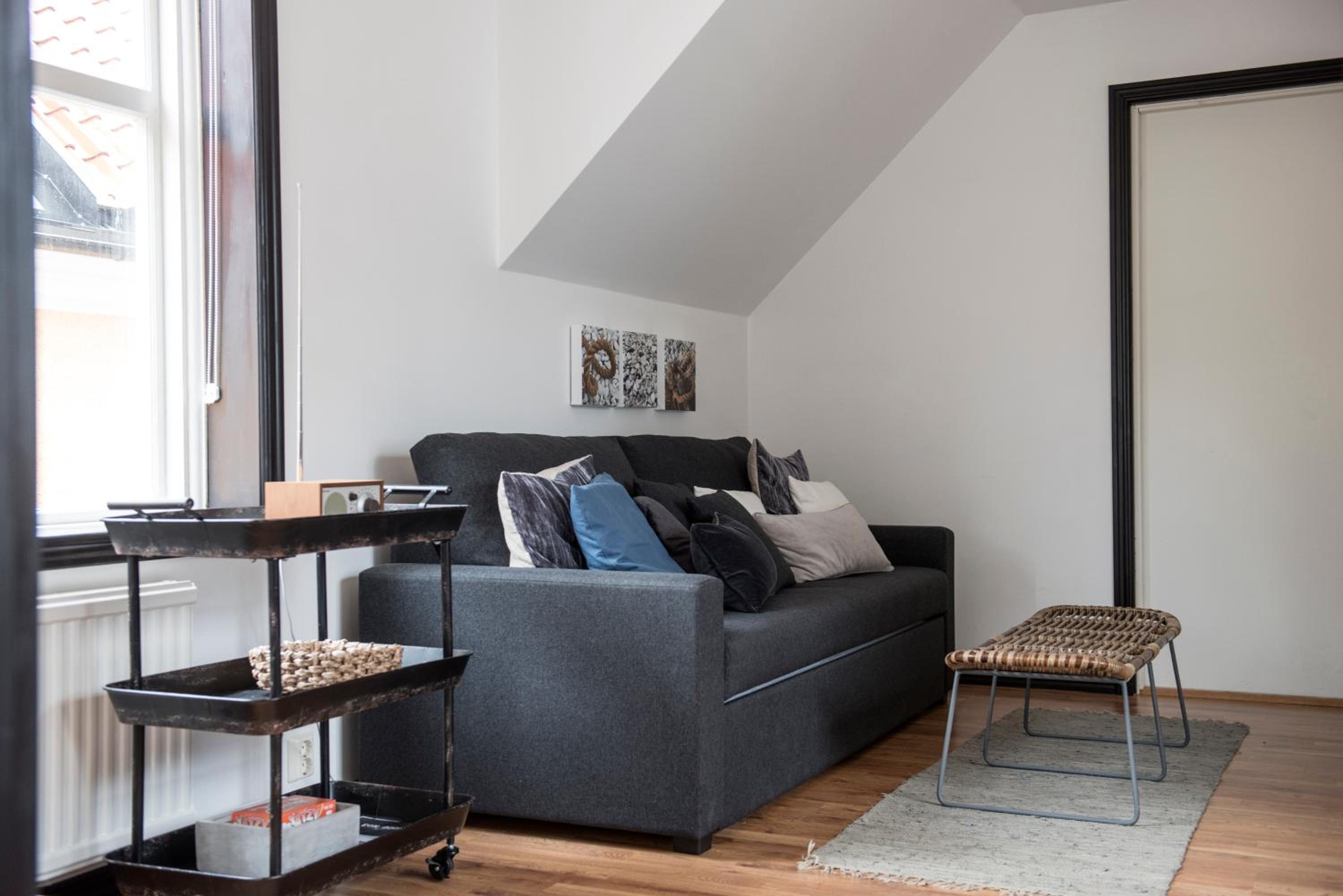 Large One-Bedroom Apartment