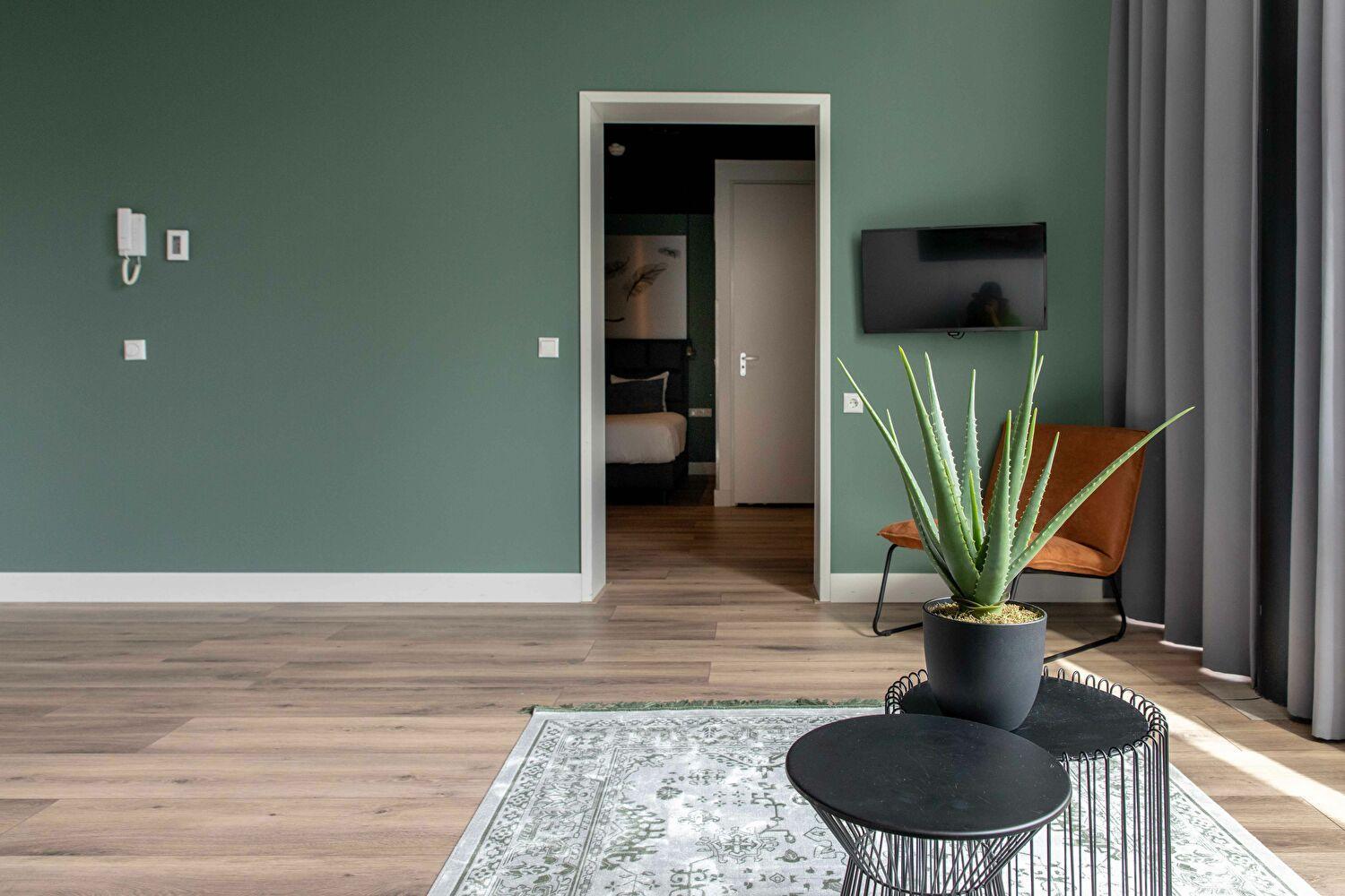 Deluxe Apartment