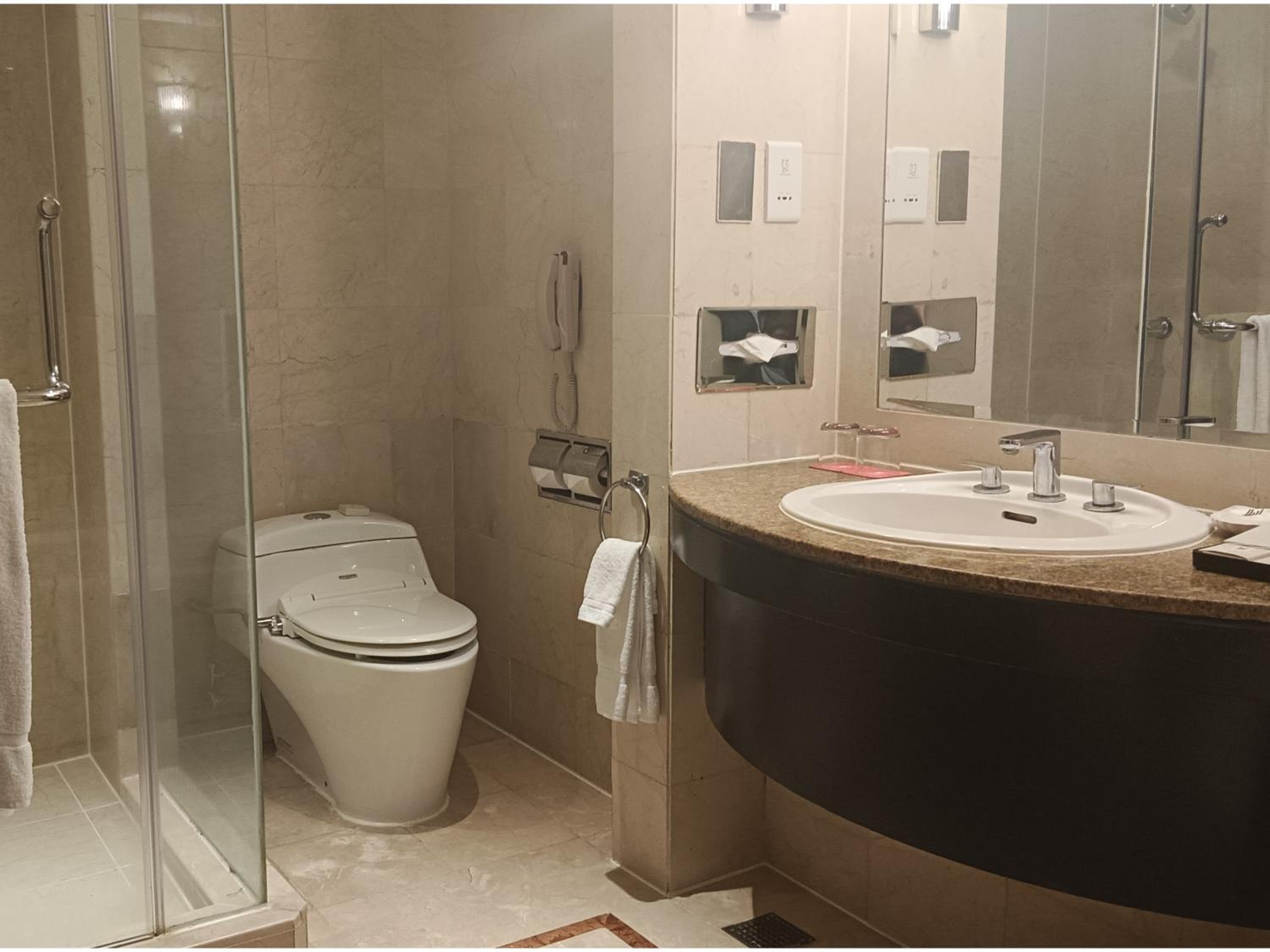 Deluxe Room with One King and Single  Bed