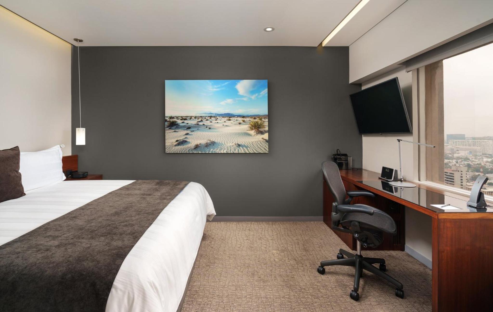 Club King Room with Chapultepec View