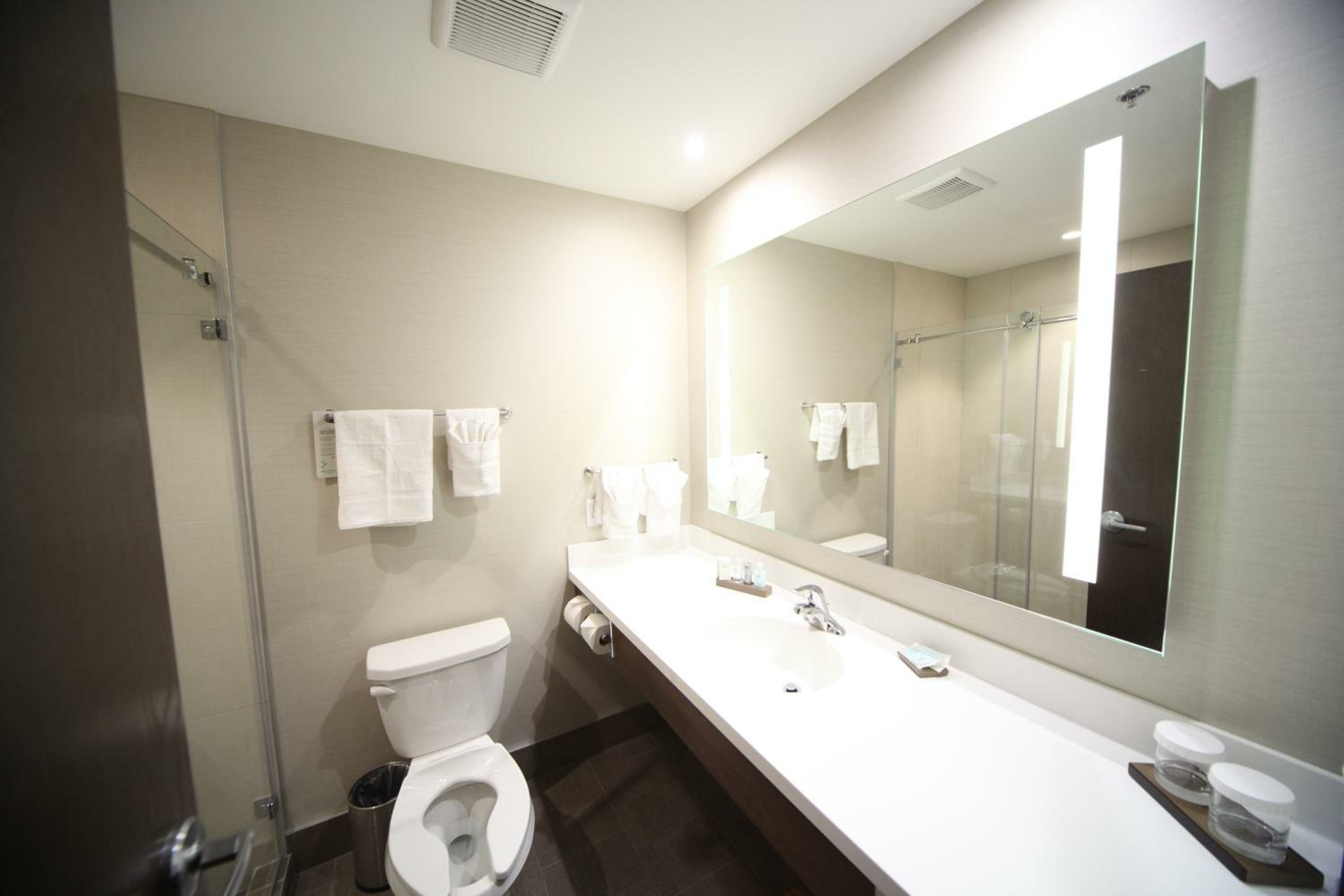 Premium King Room - Pet-Friendly/Non-Smoking