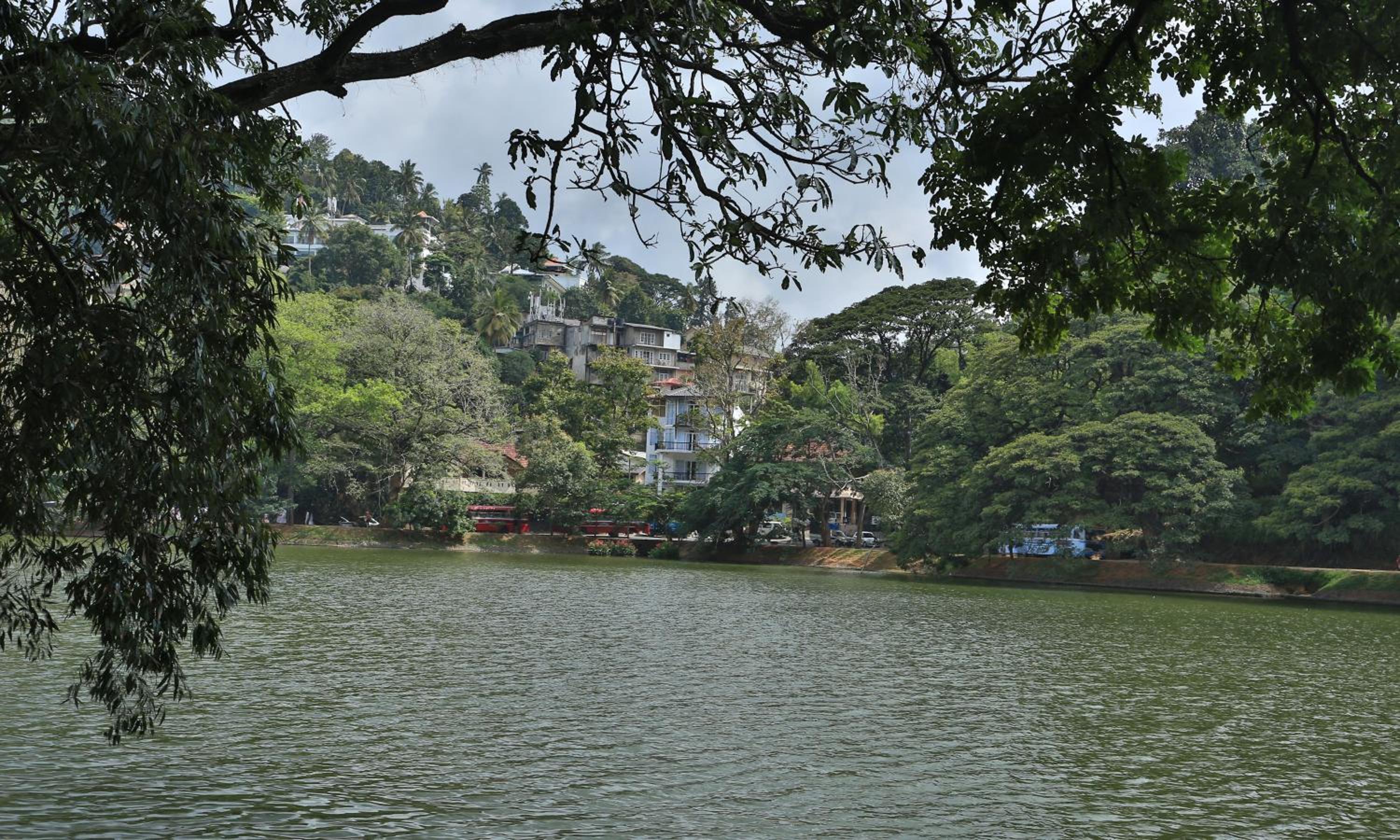 Suite with Lake View