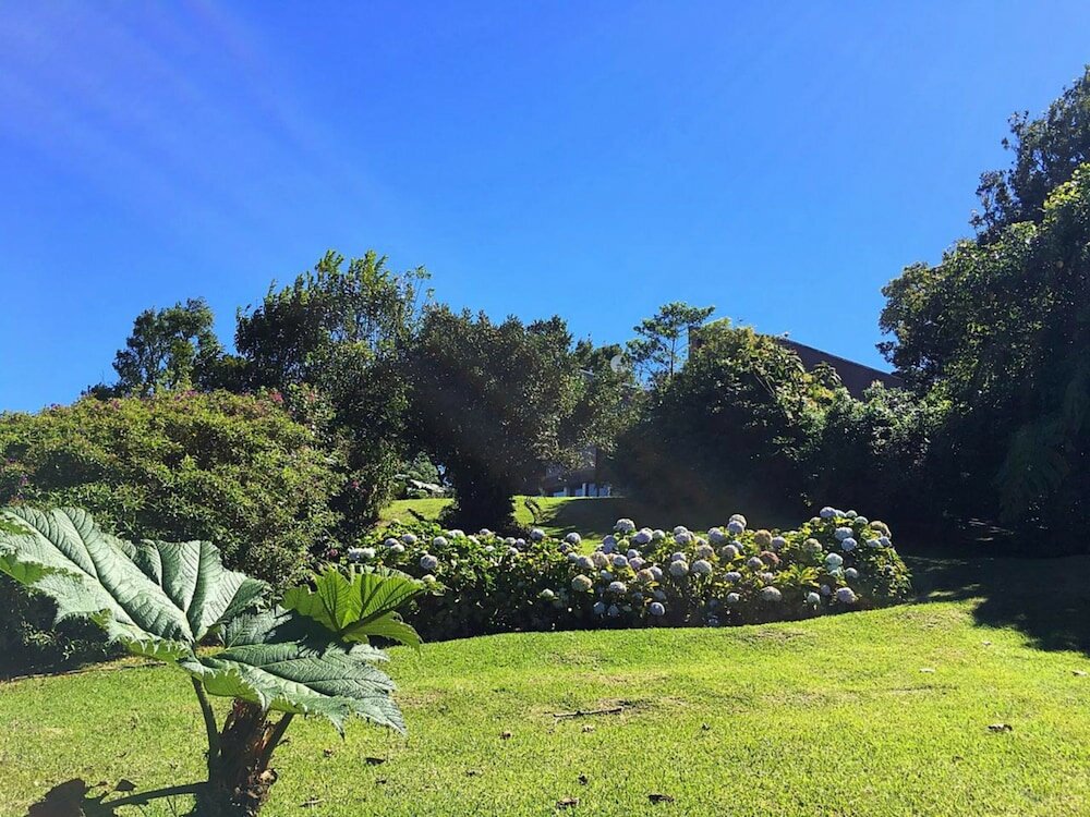 Standard Room, Garden View