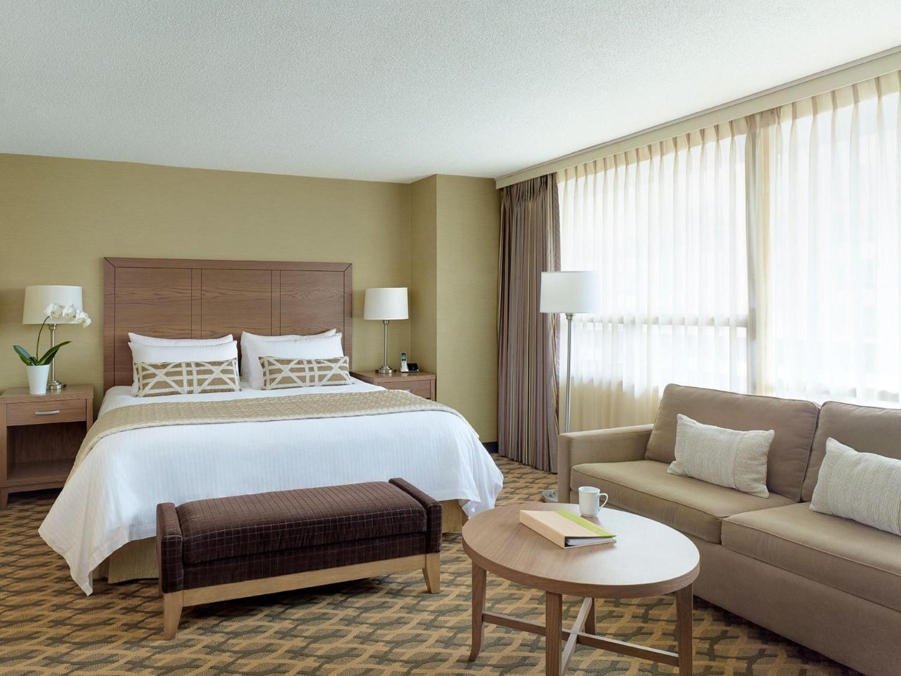 King Studio with Sofa Bed