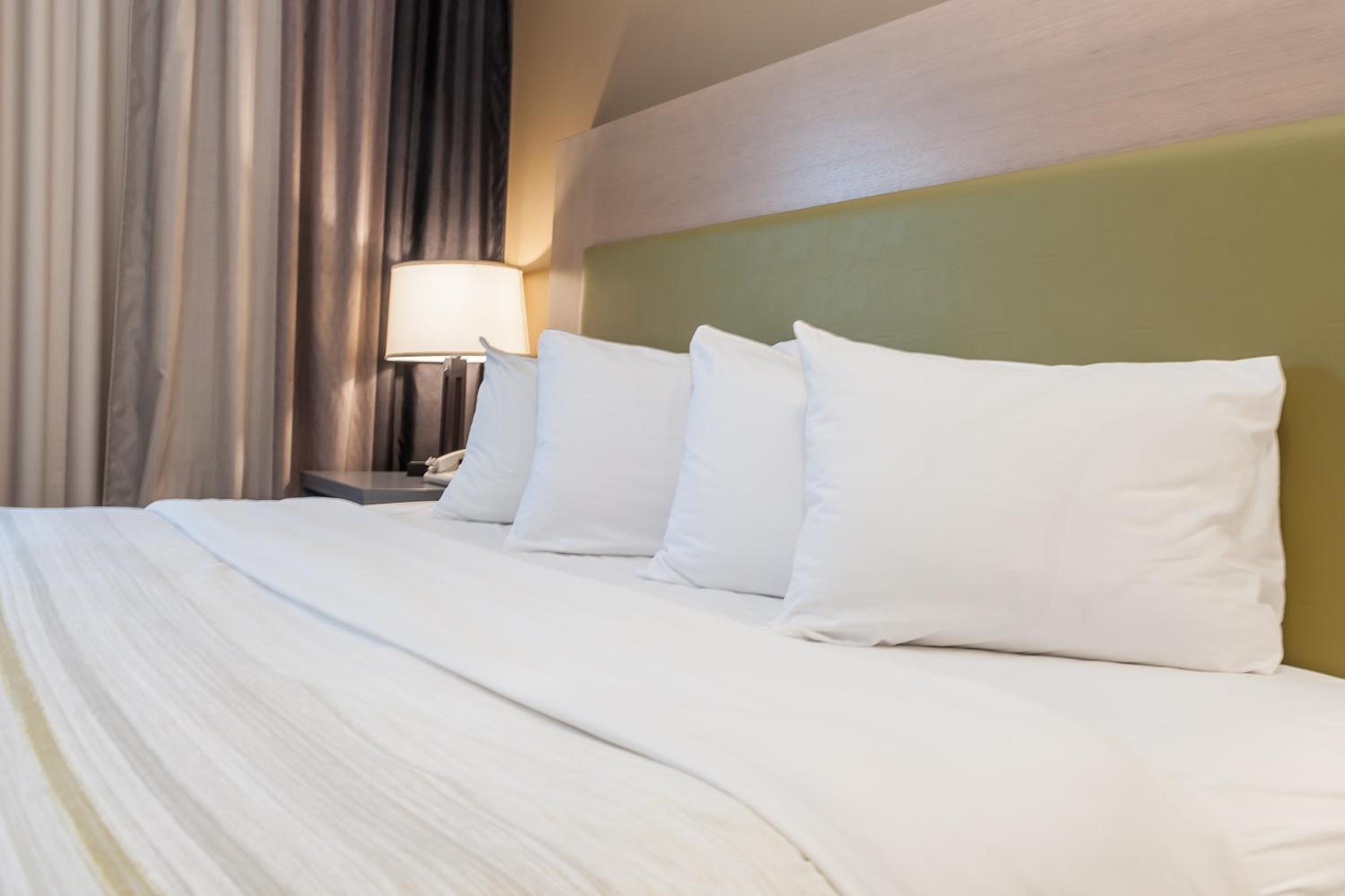 King Suite with Sofa Bed