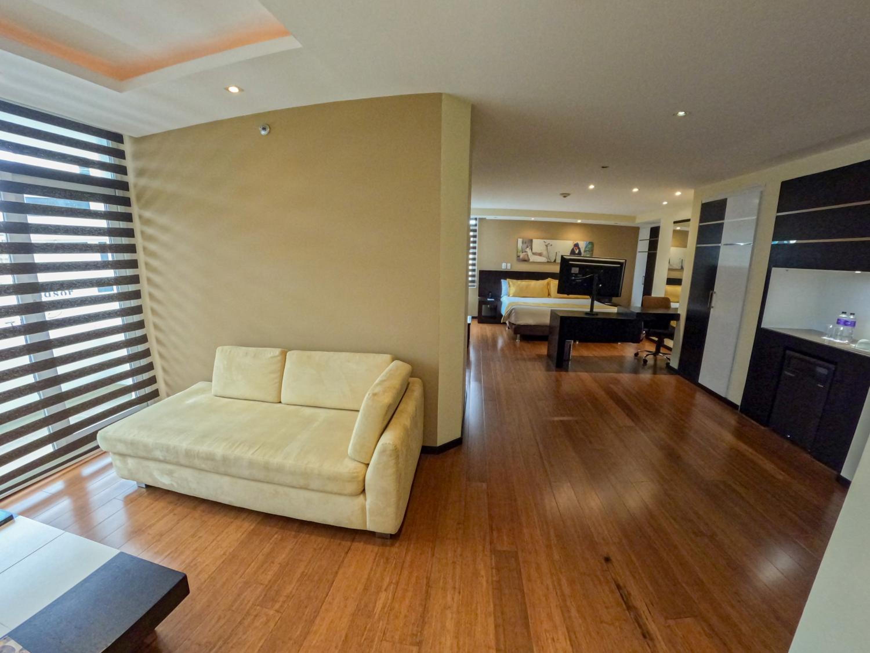 Deluxe King Suite