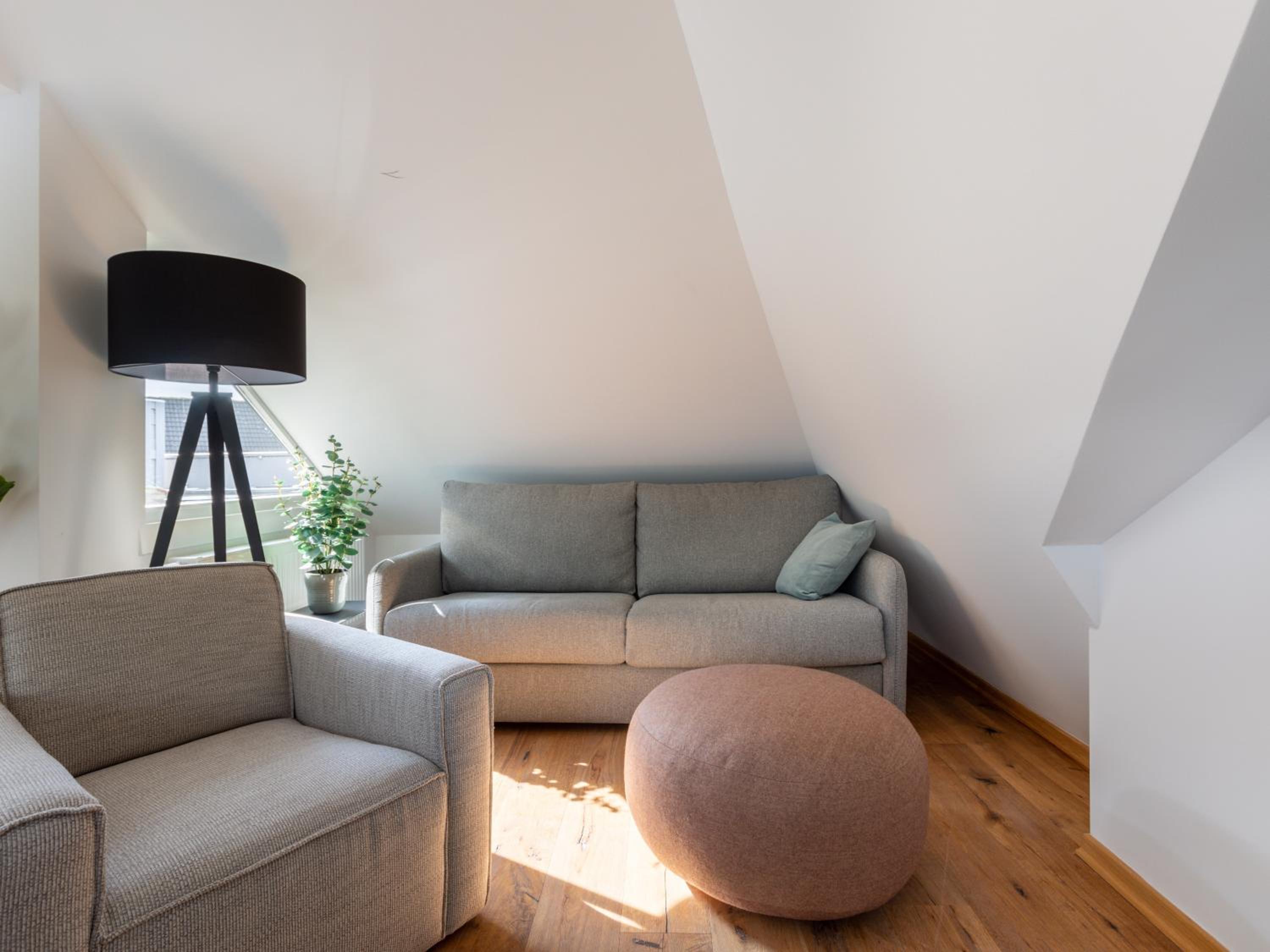 Penthouse Suite with sofa bed & rooftop terrace