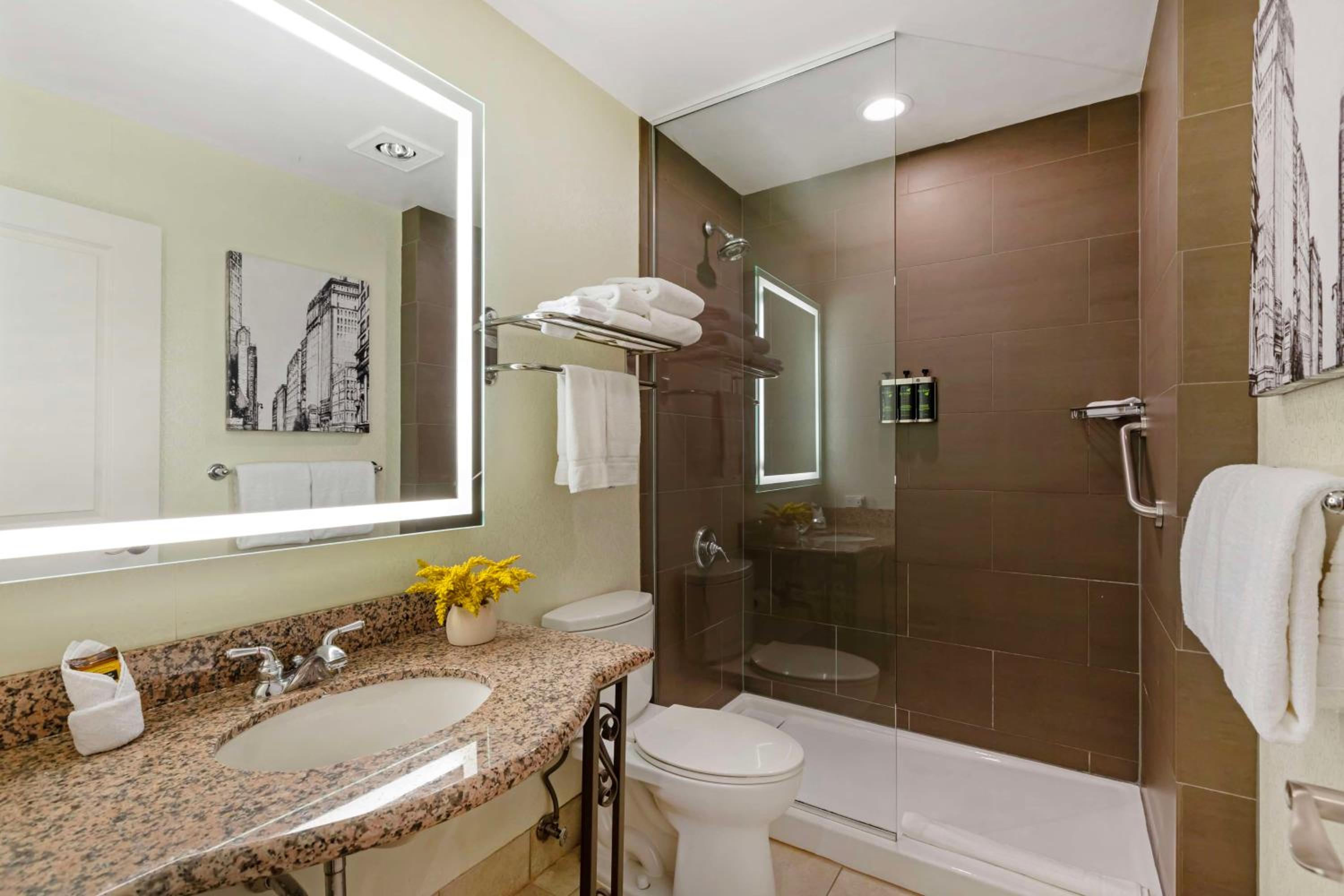 Junior Suite with Two Double Beds and Sofa Bed - Non-Smoking