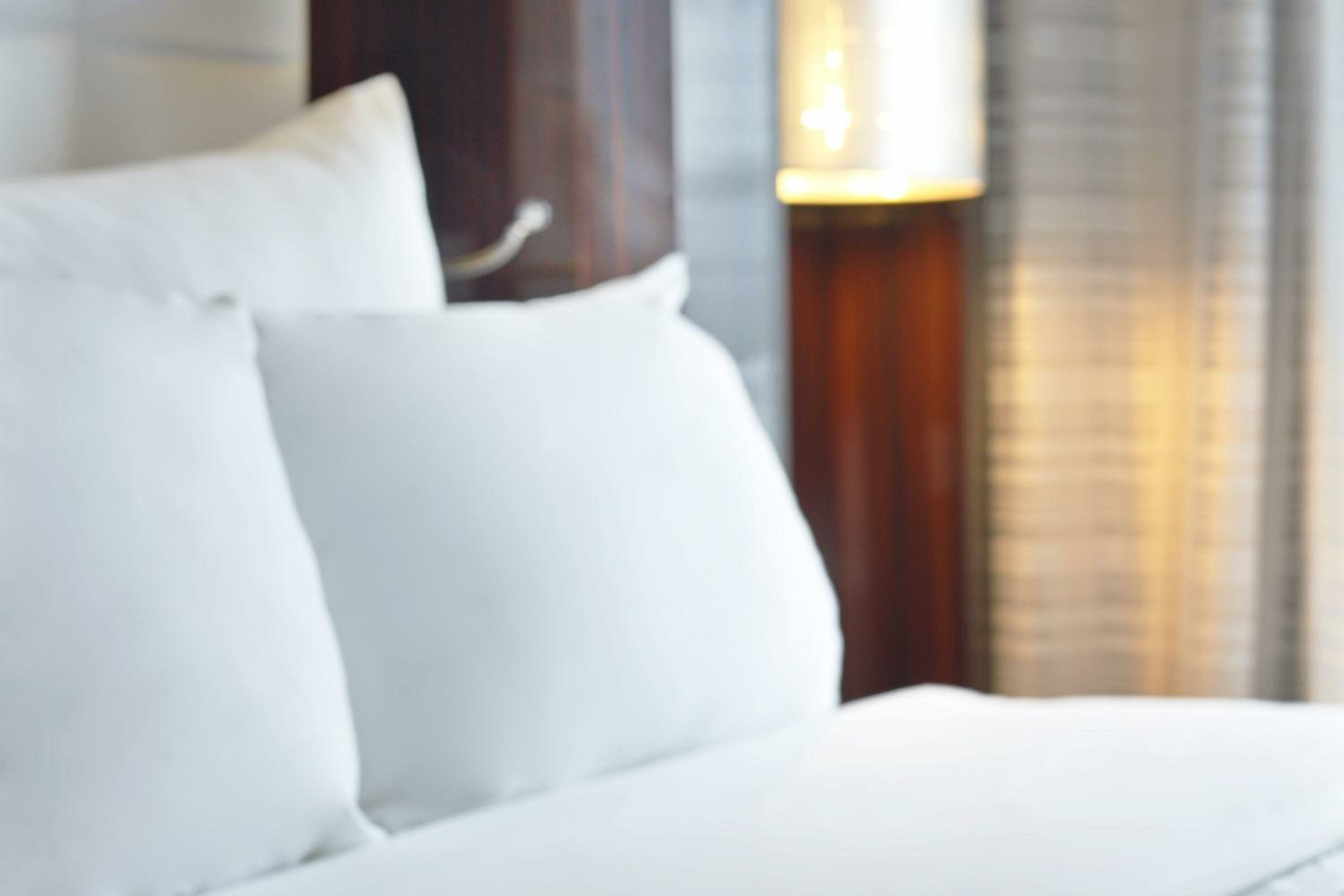 Junior King Suite with Sofa Bed