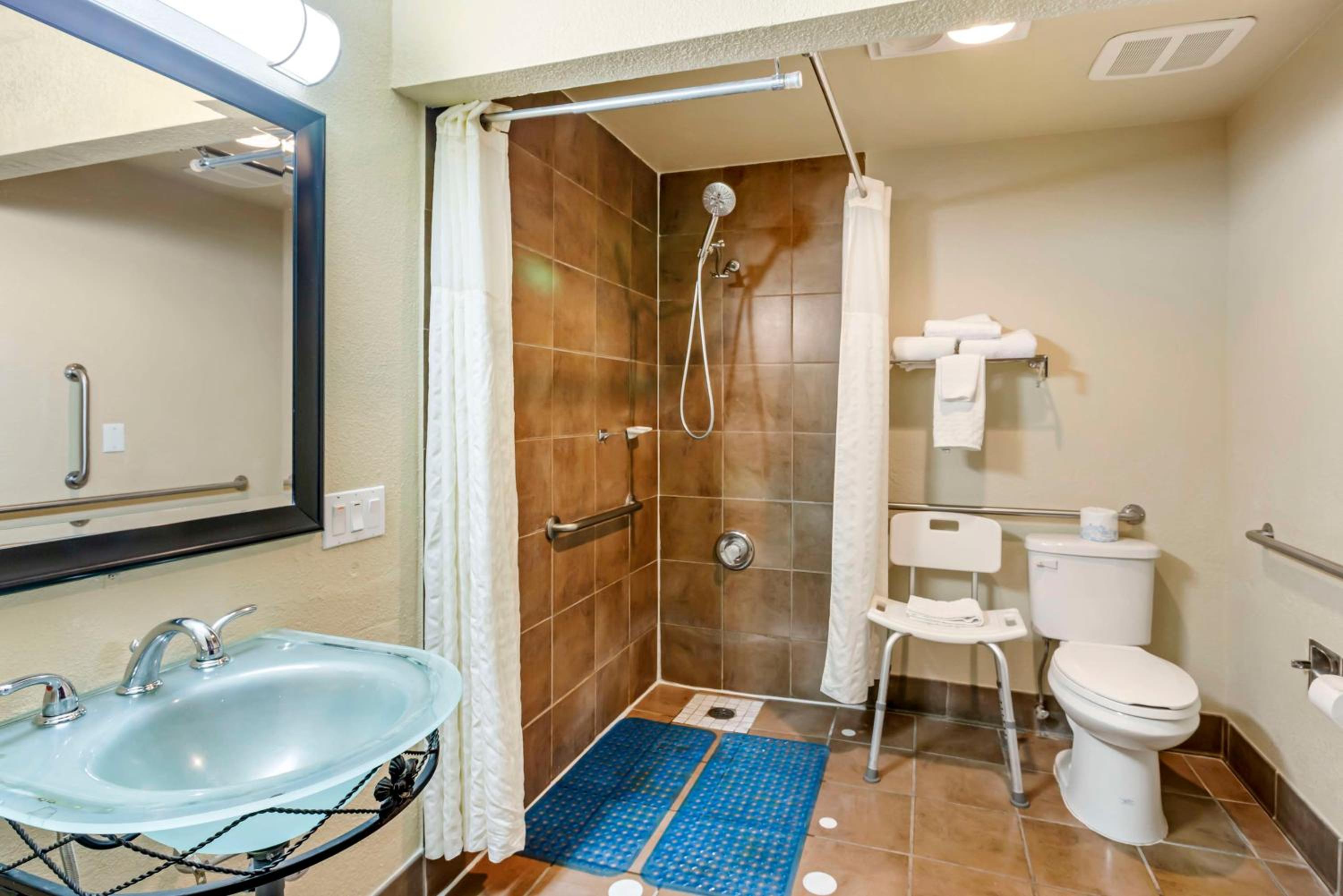 King Room with Roll-In Shower and Sofa Bed - Mobility Accessible/Non-Smoking