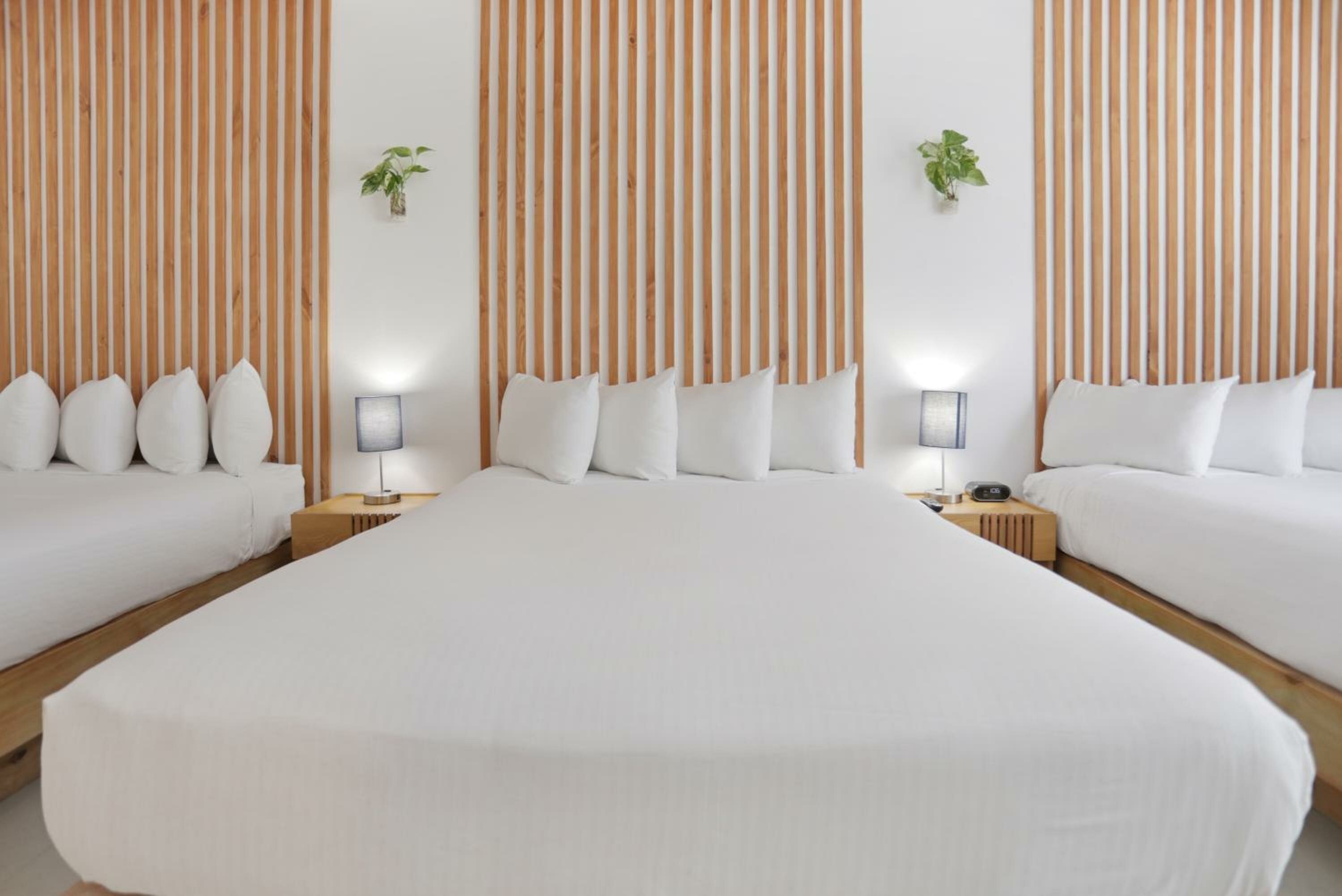 Deluxe Triple Studio with Kitchen 