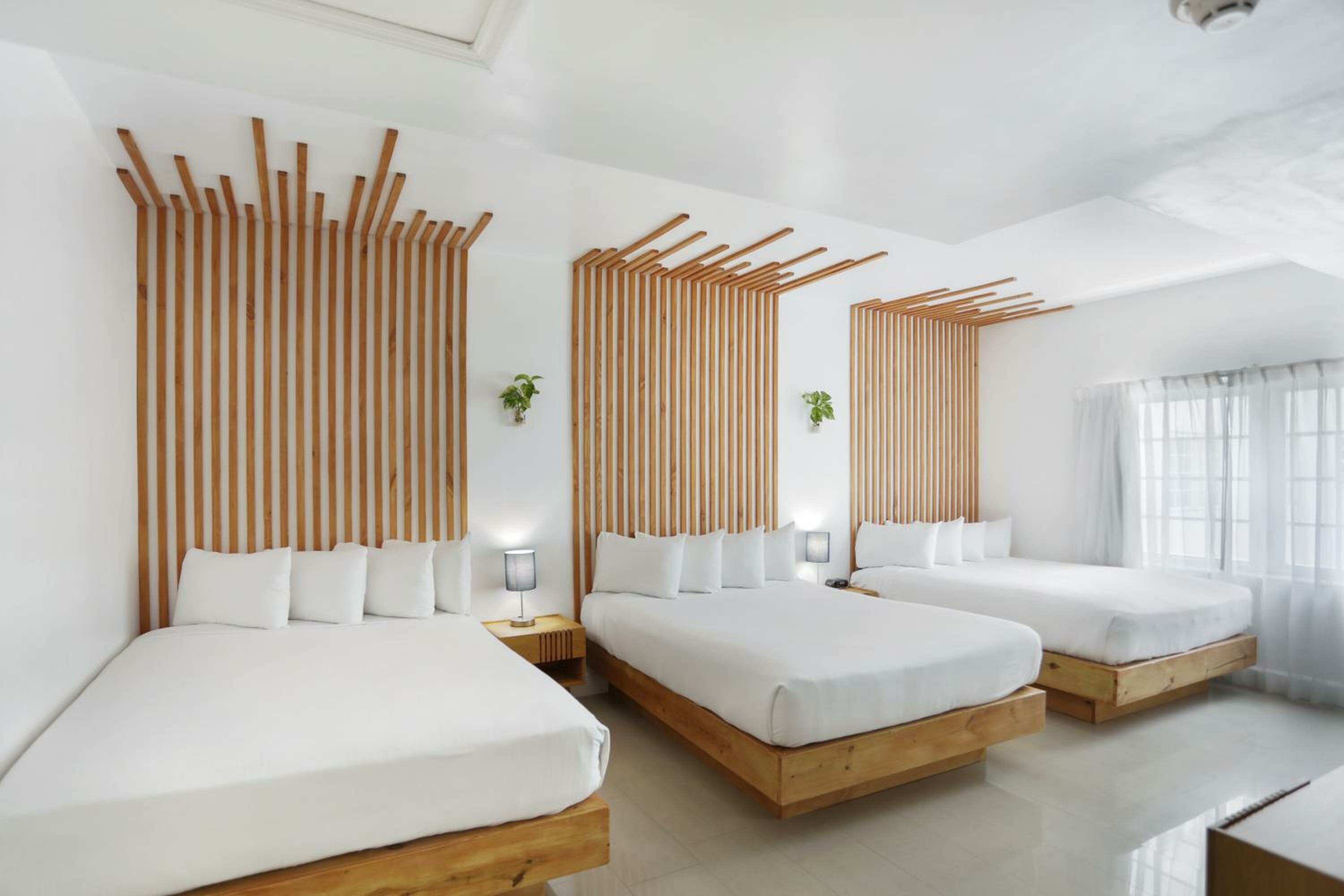 Deluxe Triple Studio with Kitchen 