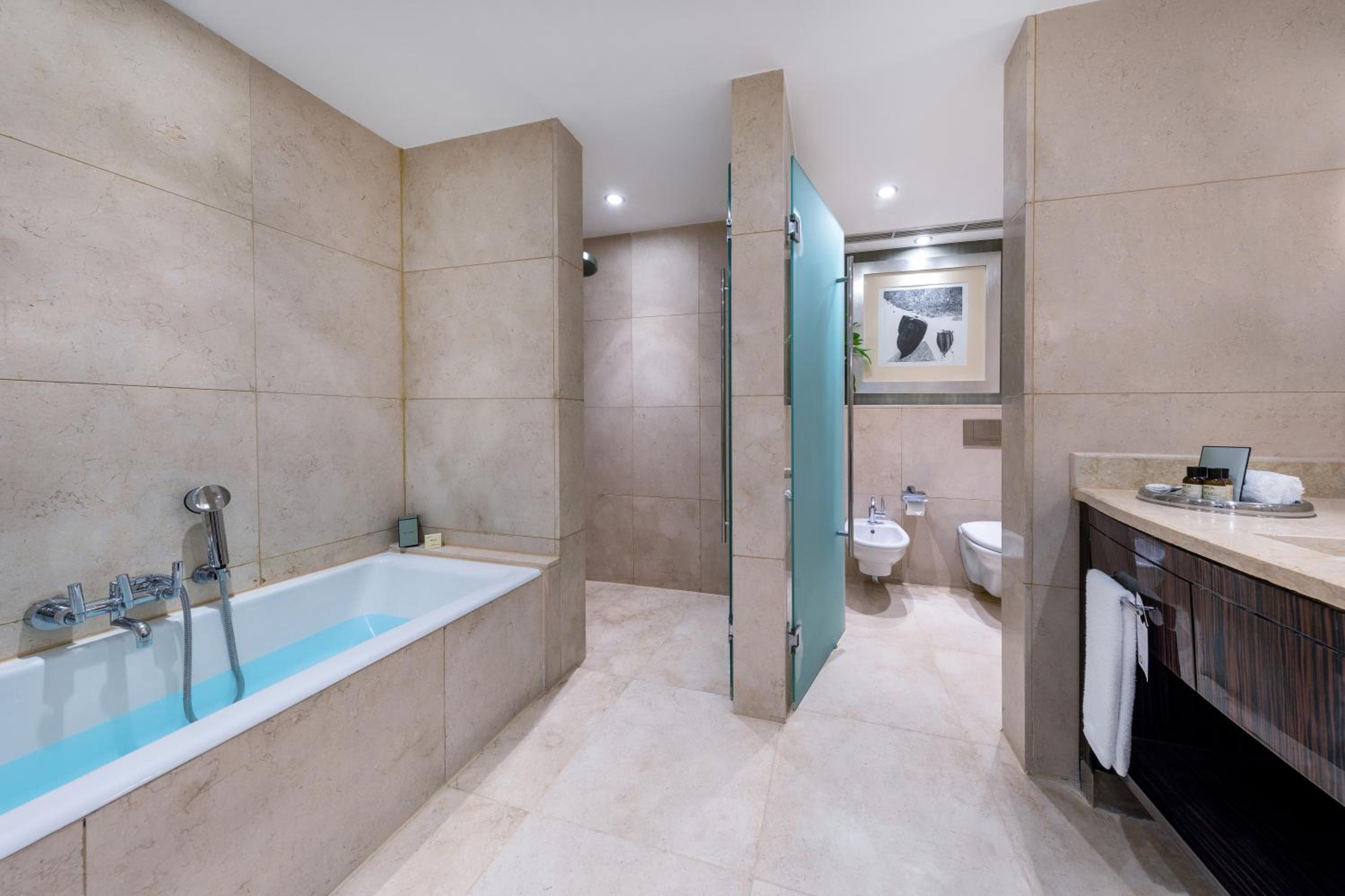 Fairmont Gold Room with Partial Nile View-  Lounge access