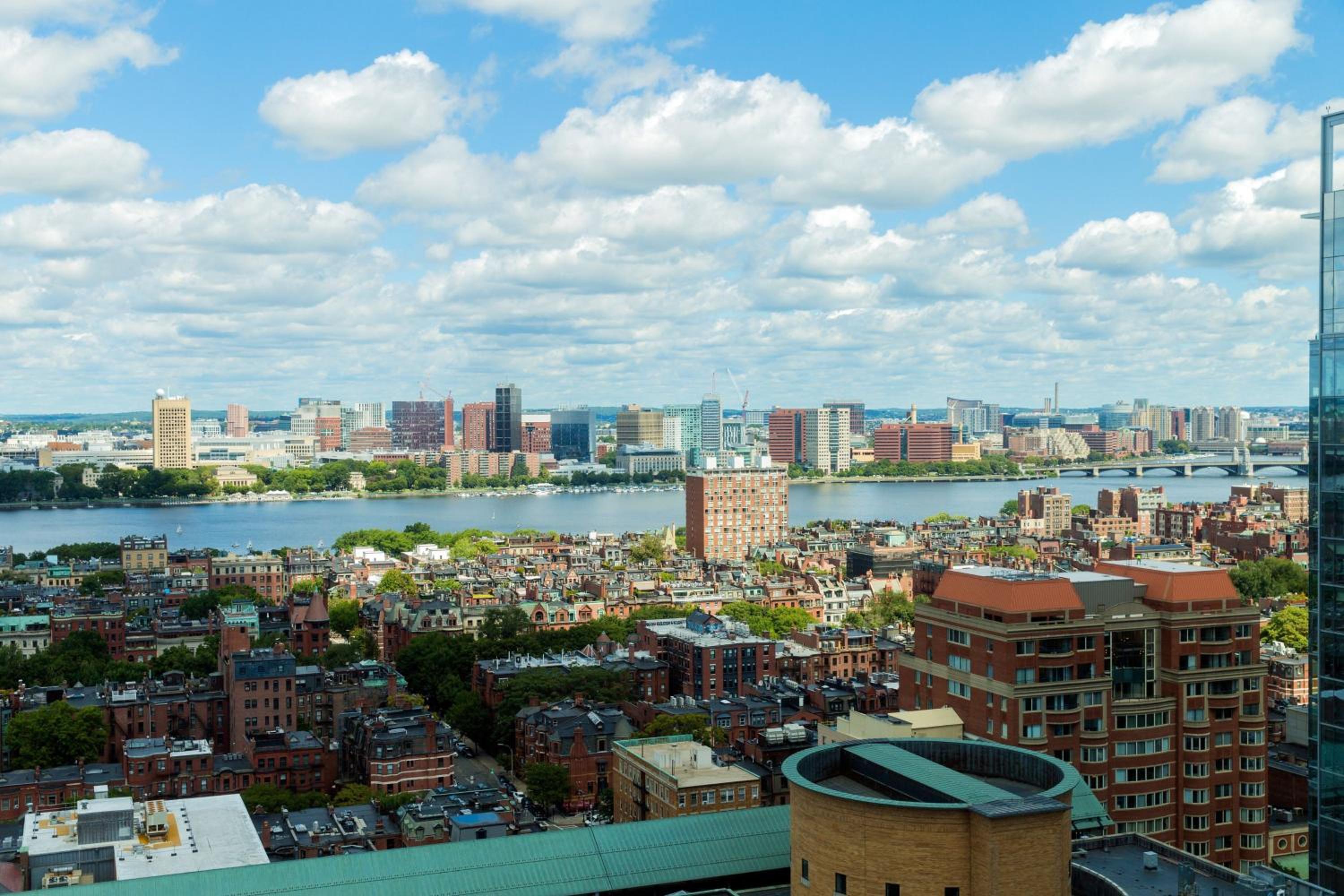 High Floor One Bedroom Suite, High Floor, Suite, 1 King, Sofa bed