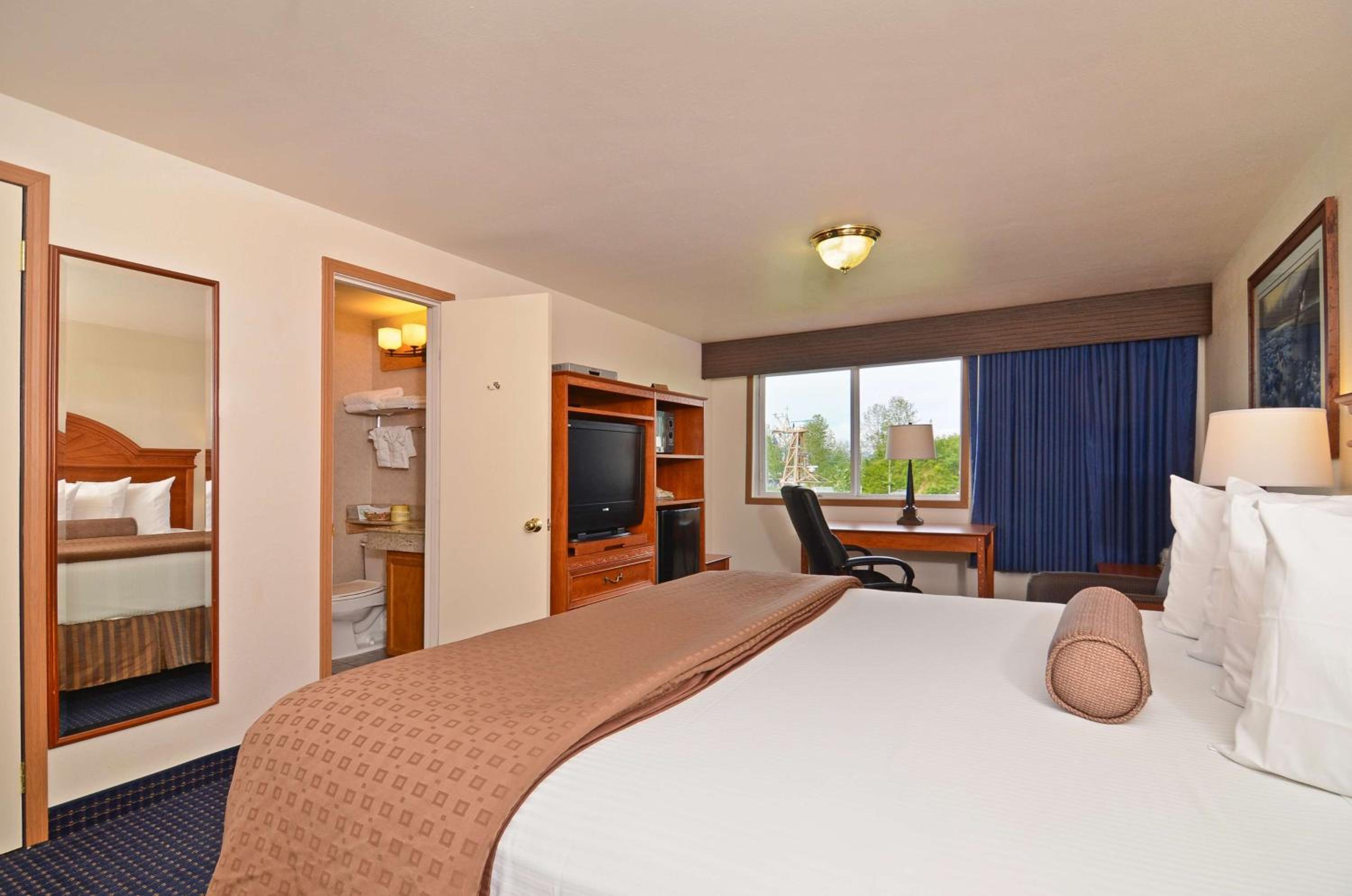 Large King Room witih Mountain View - Non-smoking