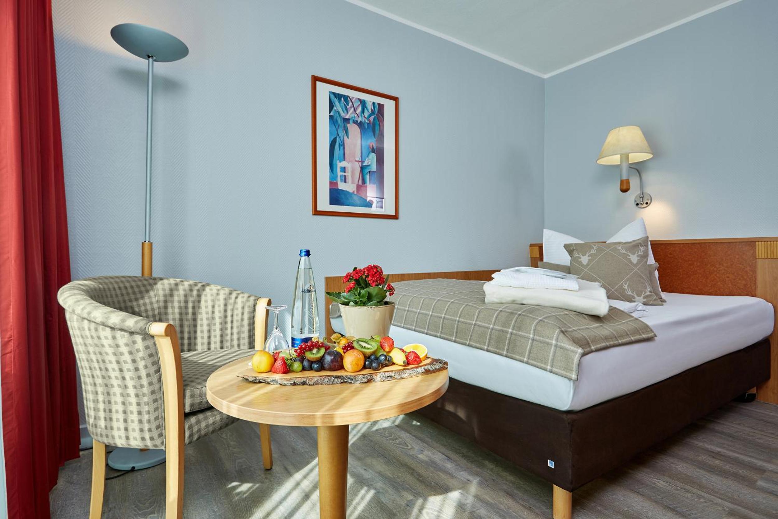 Junior Room with Mountain View (street side)