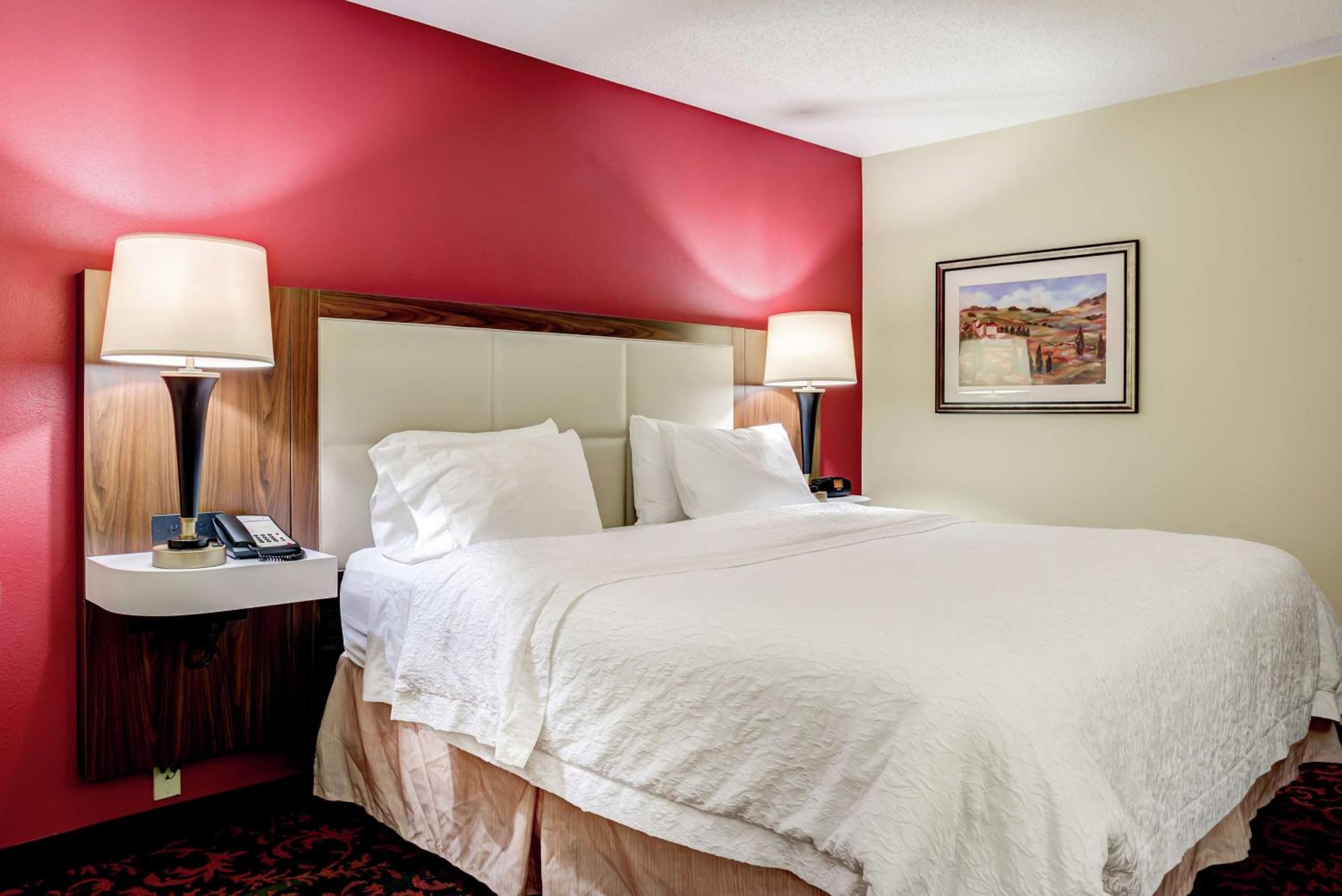 King Room with King Bed - Non-Smoking