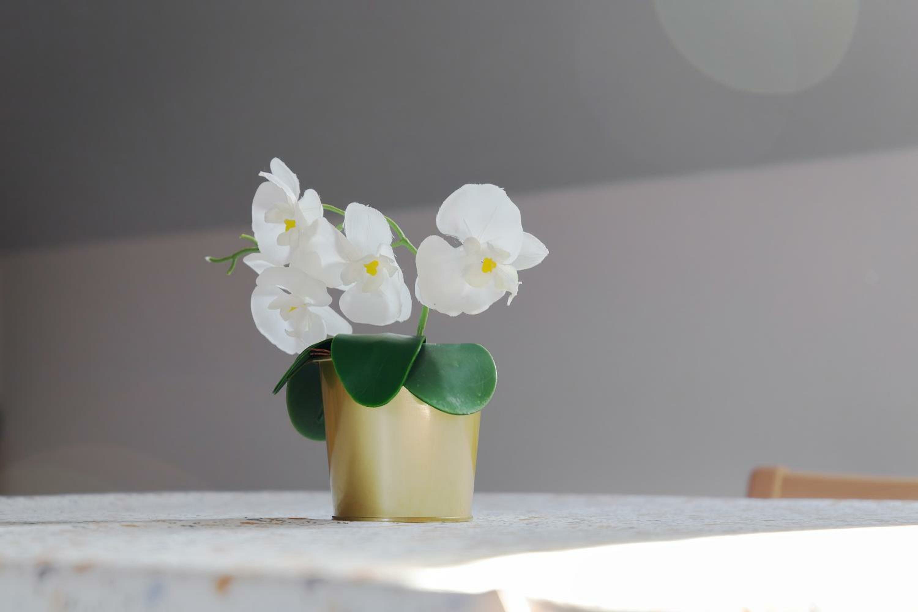 Studio Apartment - Attic