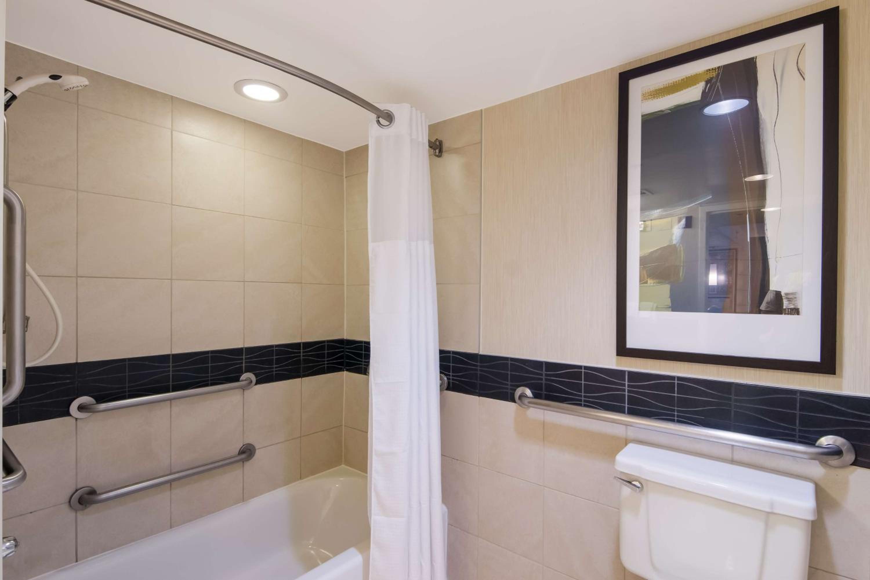 Mobility Accessible One Bedroom Suite King Roll-In Shower