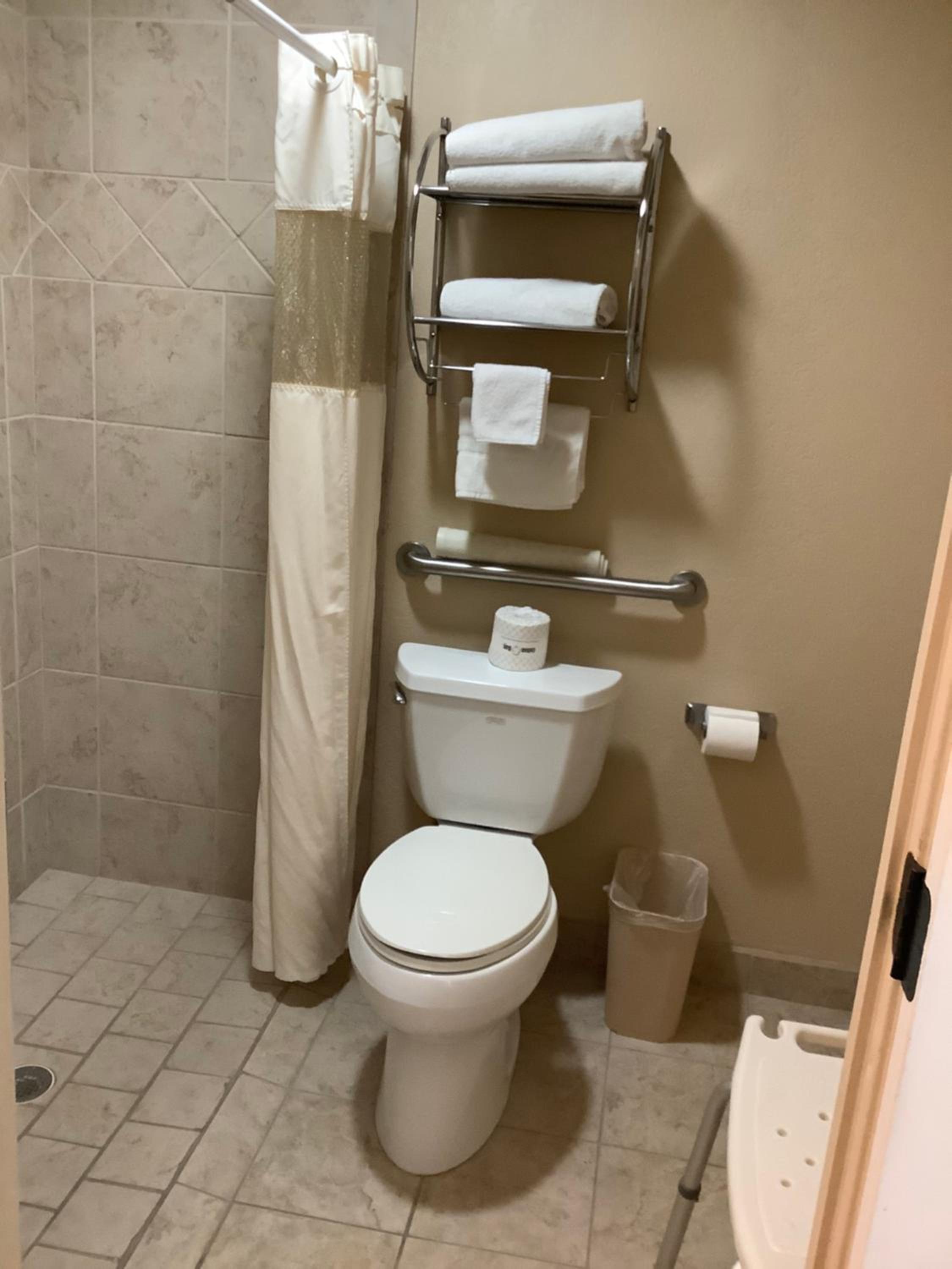 King Room with Walk-in Shower - Mobility Accessible/Non-Smoking