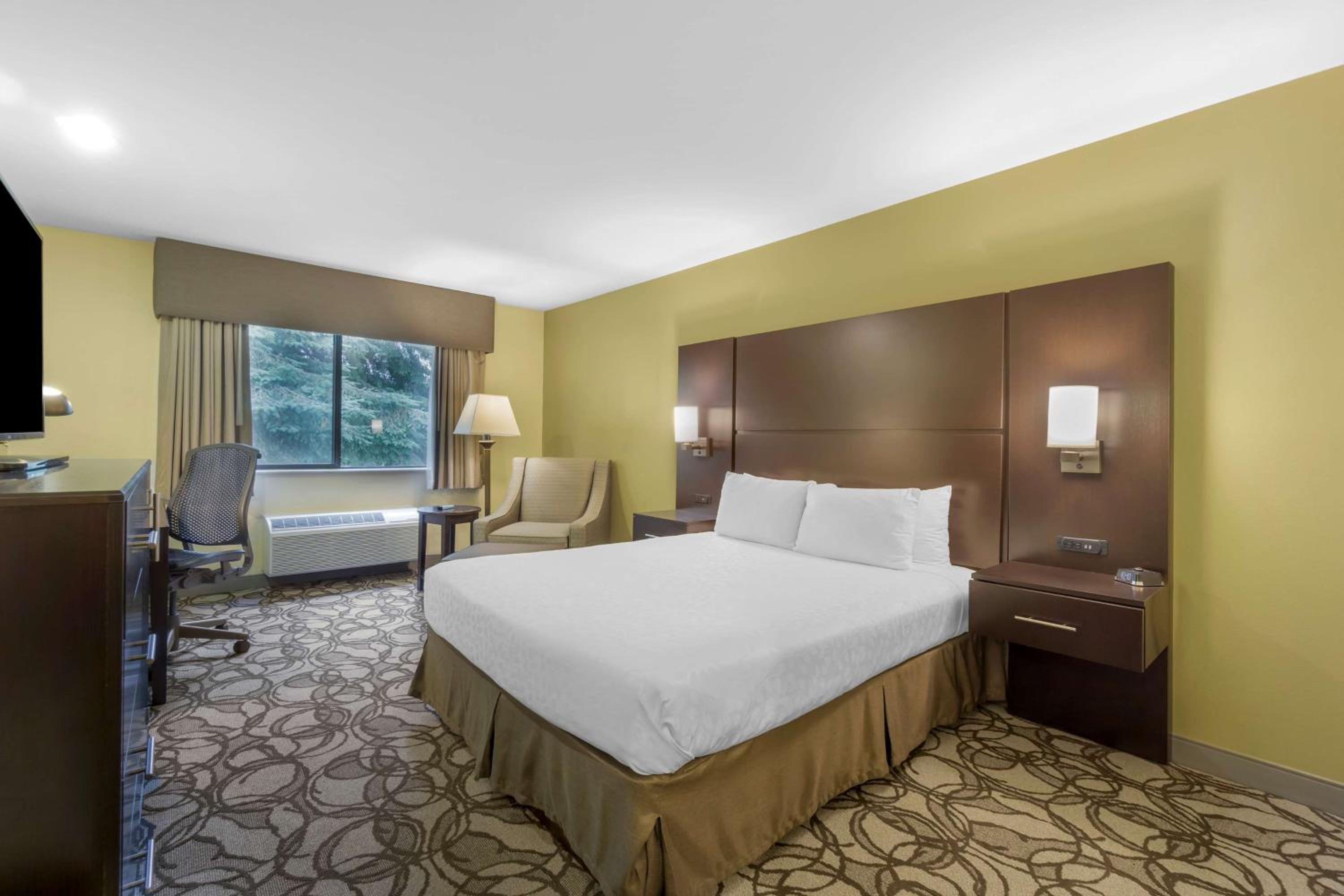 Queen Room with One Queen Bed - Non-Smoking