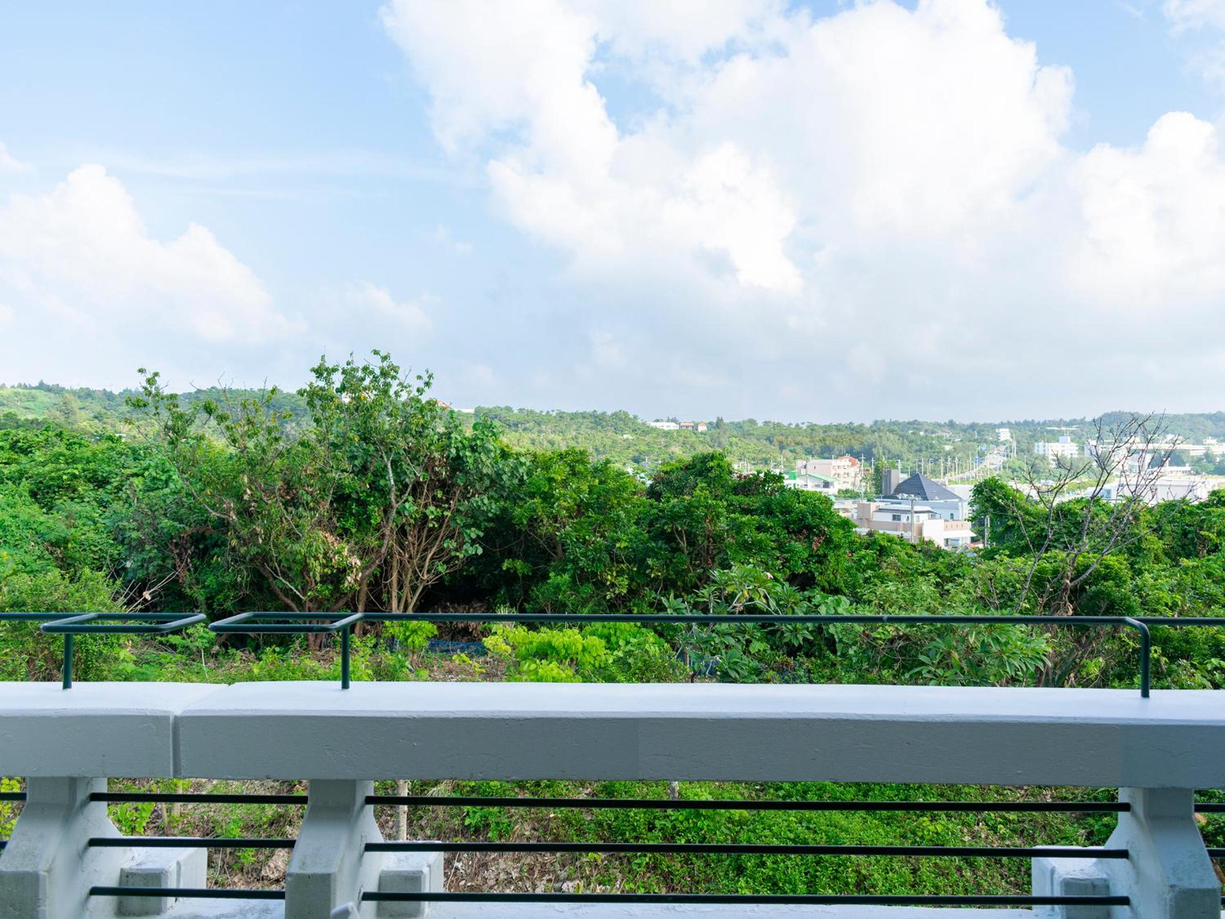 Luxury Room with Mountain View - Non-Smoking