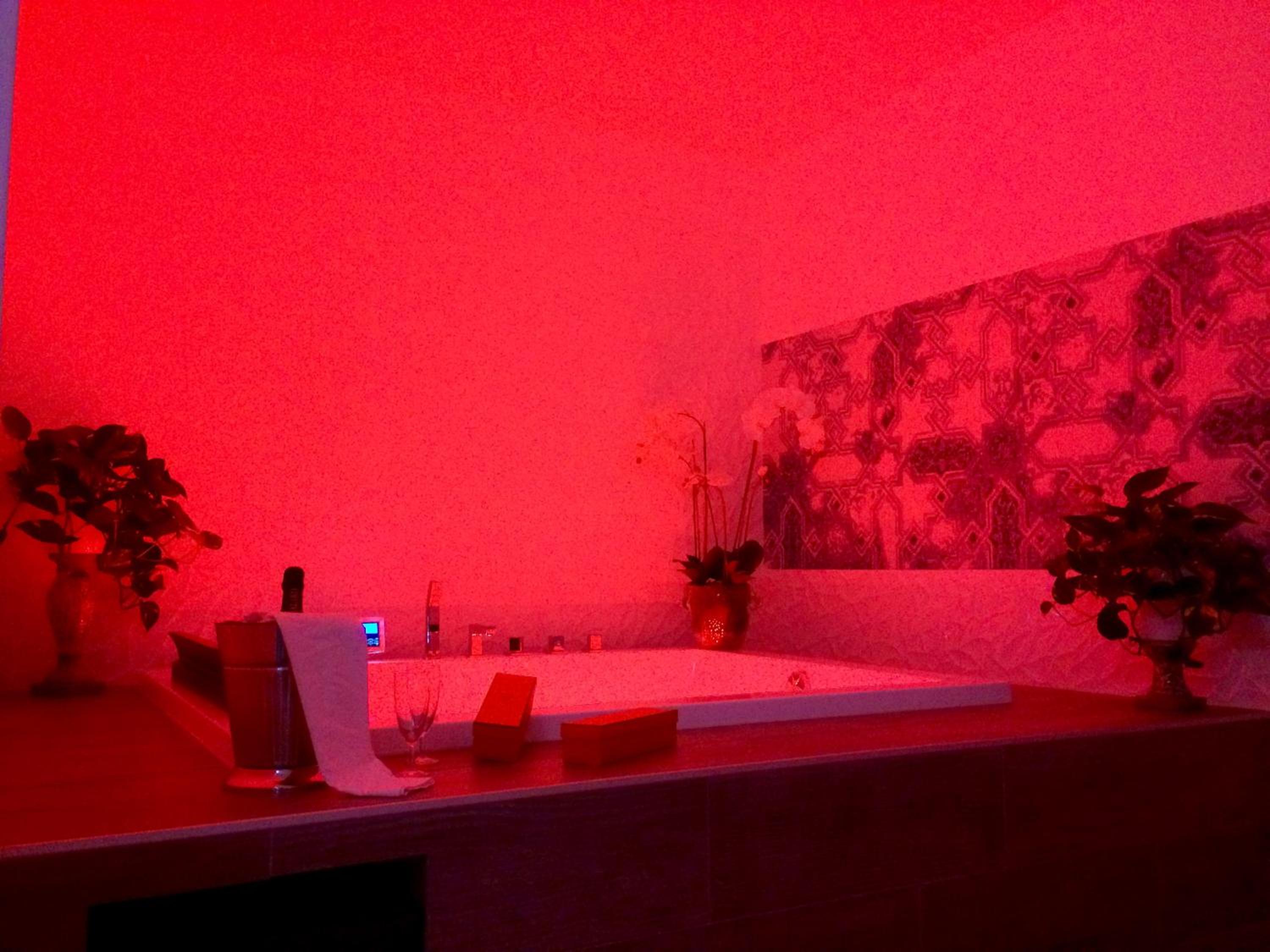 Annex Cottage in the garden with Hot Tub