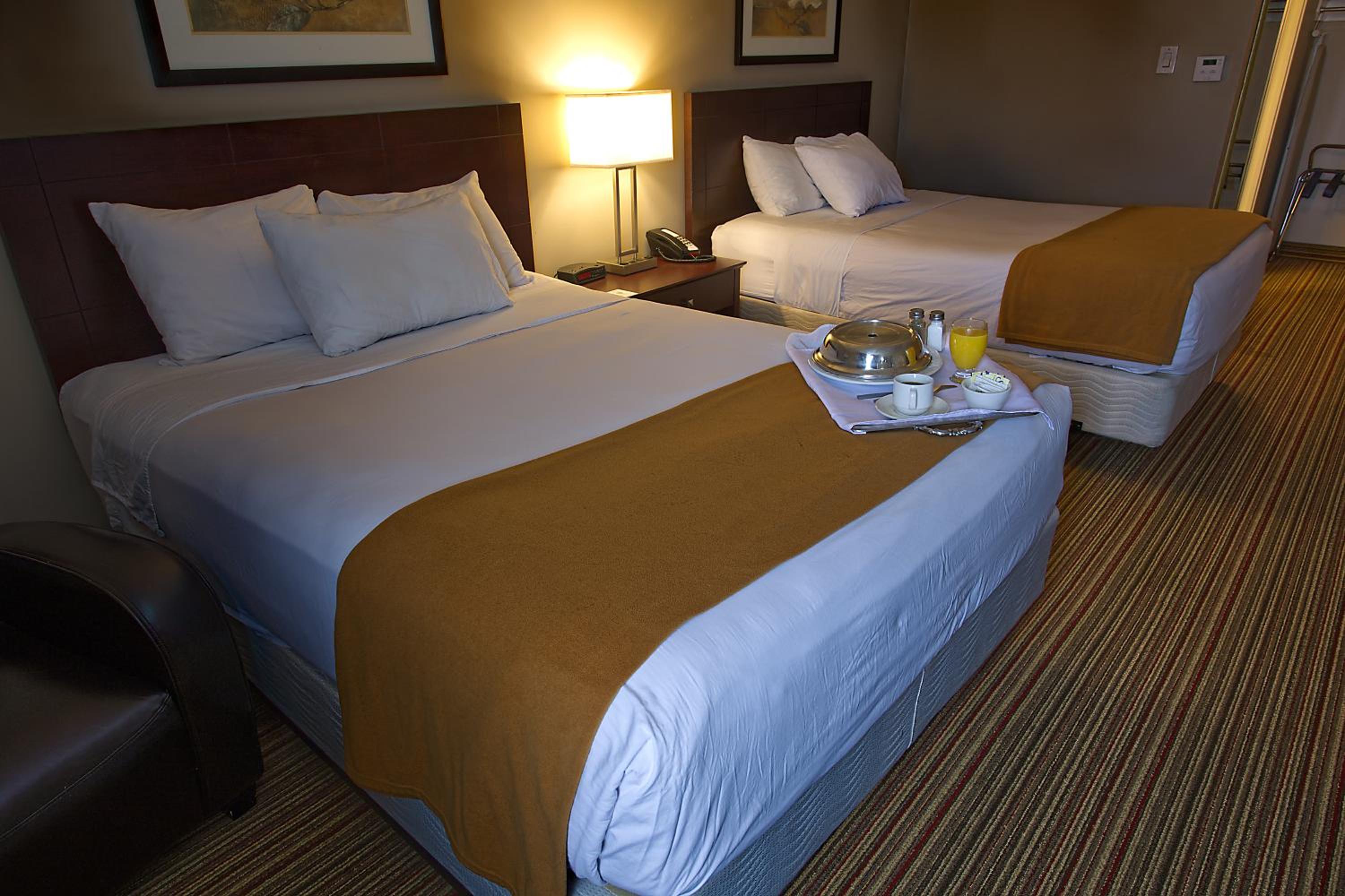 Business Queen Room with Two Queen Beds - Non-Smoking