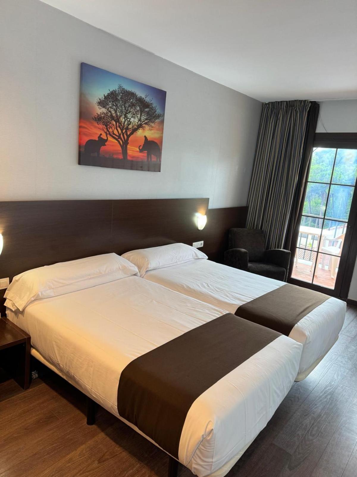 Double Comfort Room - 2 Beds