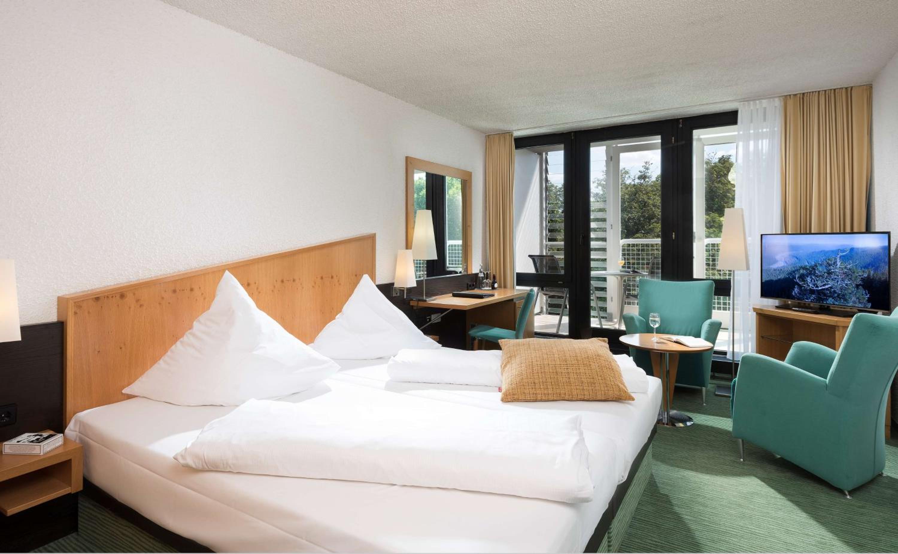 Comfort Double Room with Park View