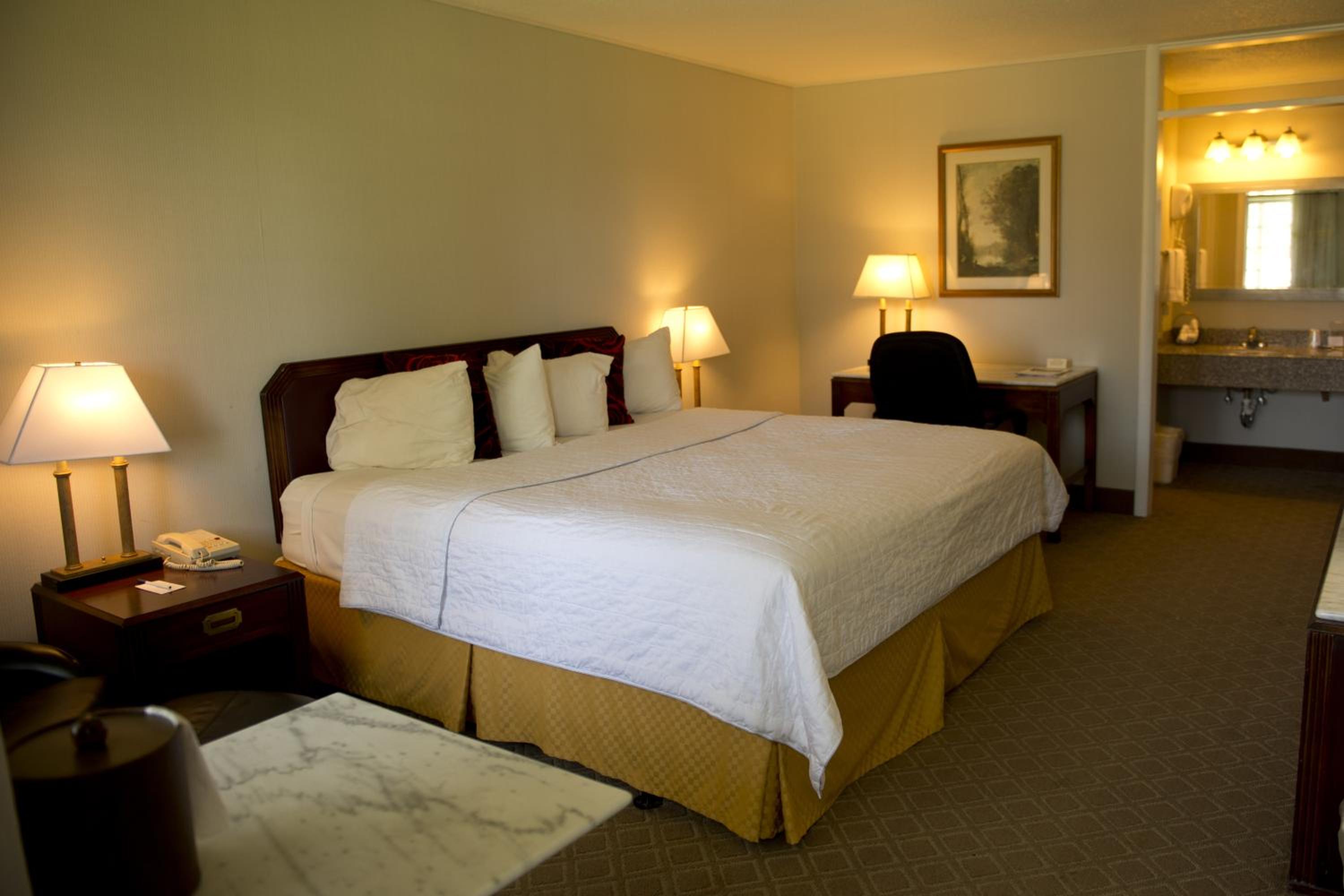 King Room - Non-Smoking