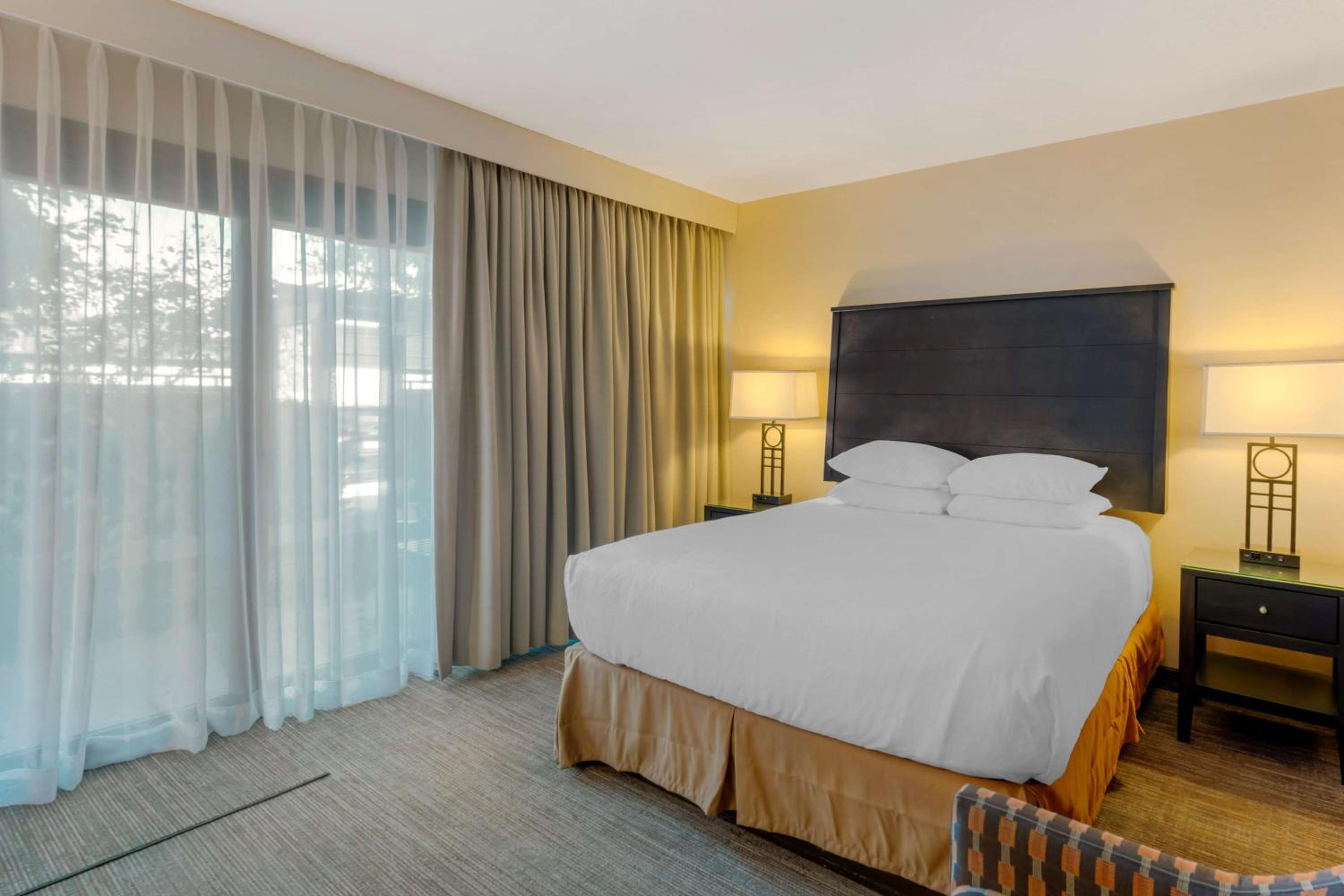 Economy Queen Room - Pet Friendly by Request