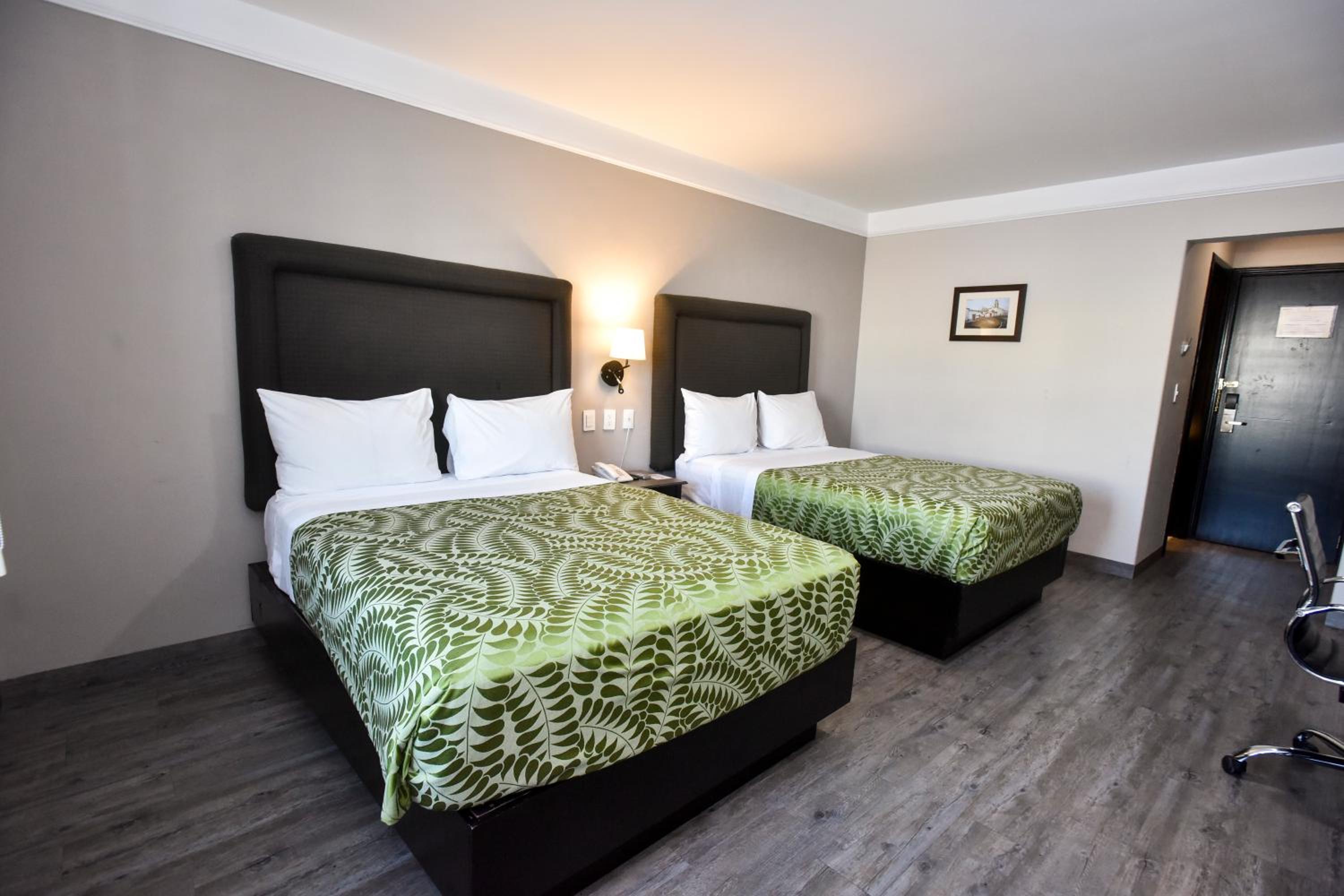 Double Room with Two Double Beds