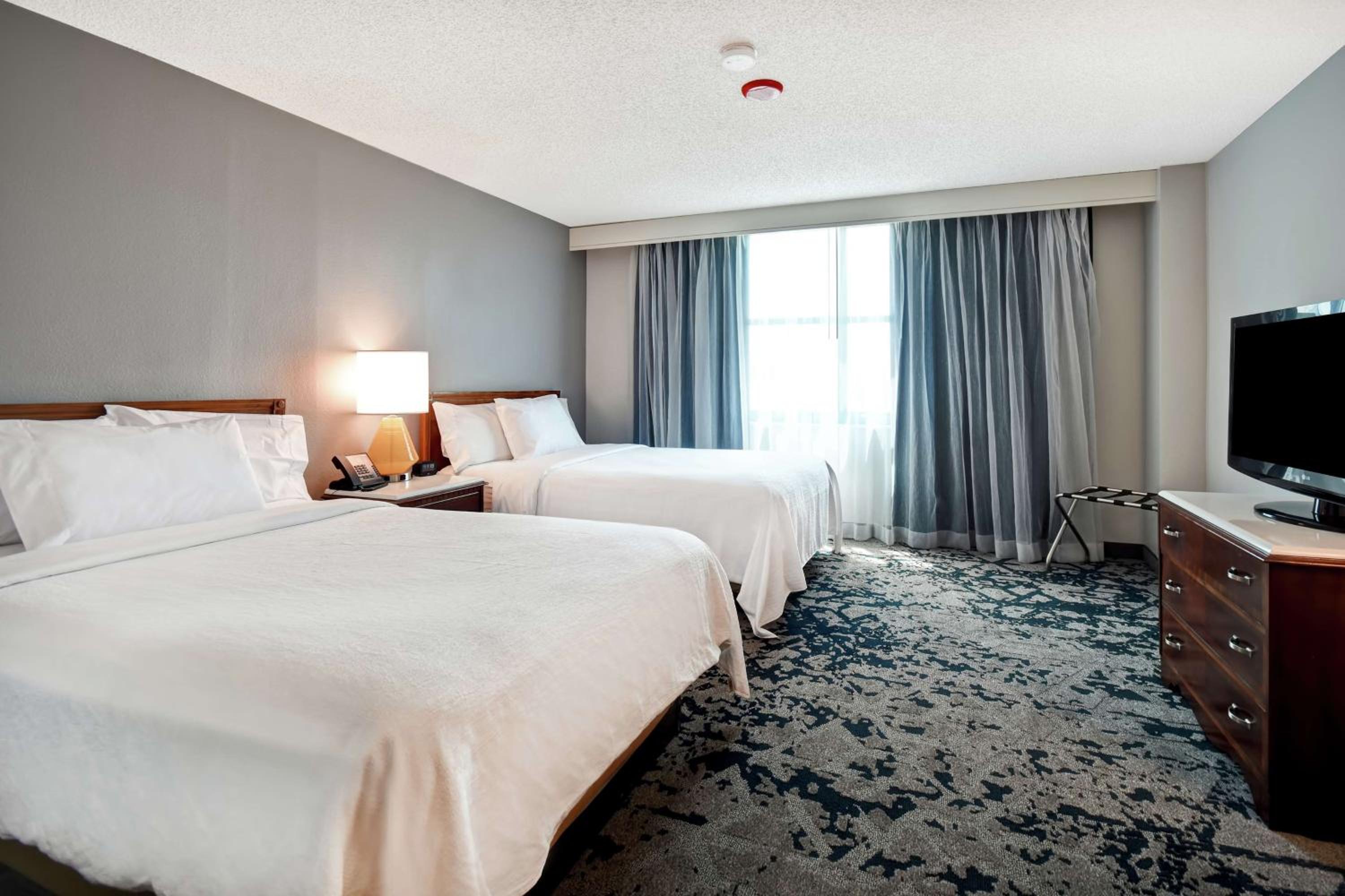 Double Suite - Wellness Allergy Friendly