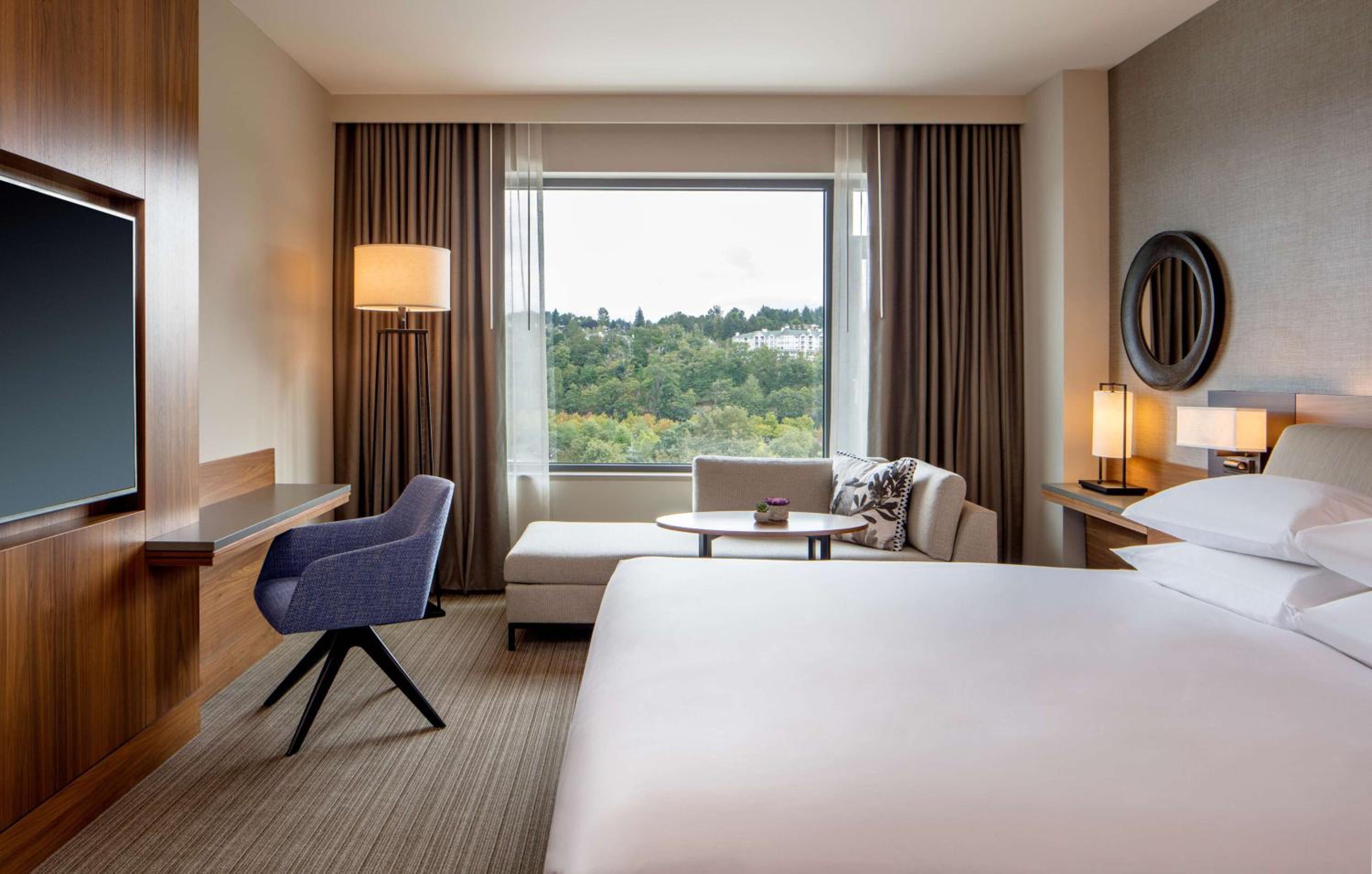 King Room with Park View