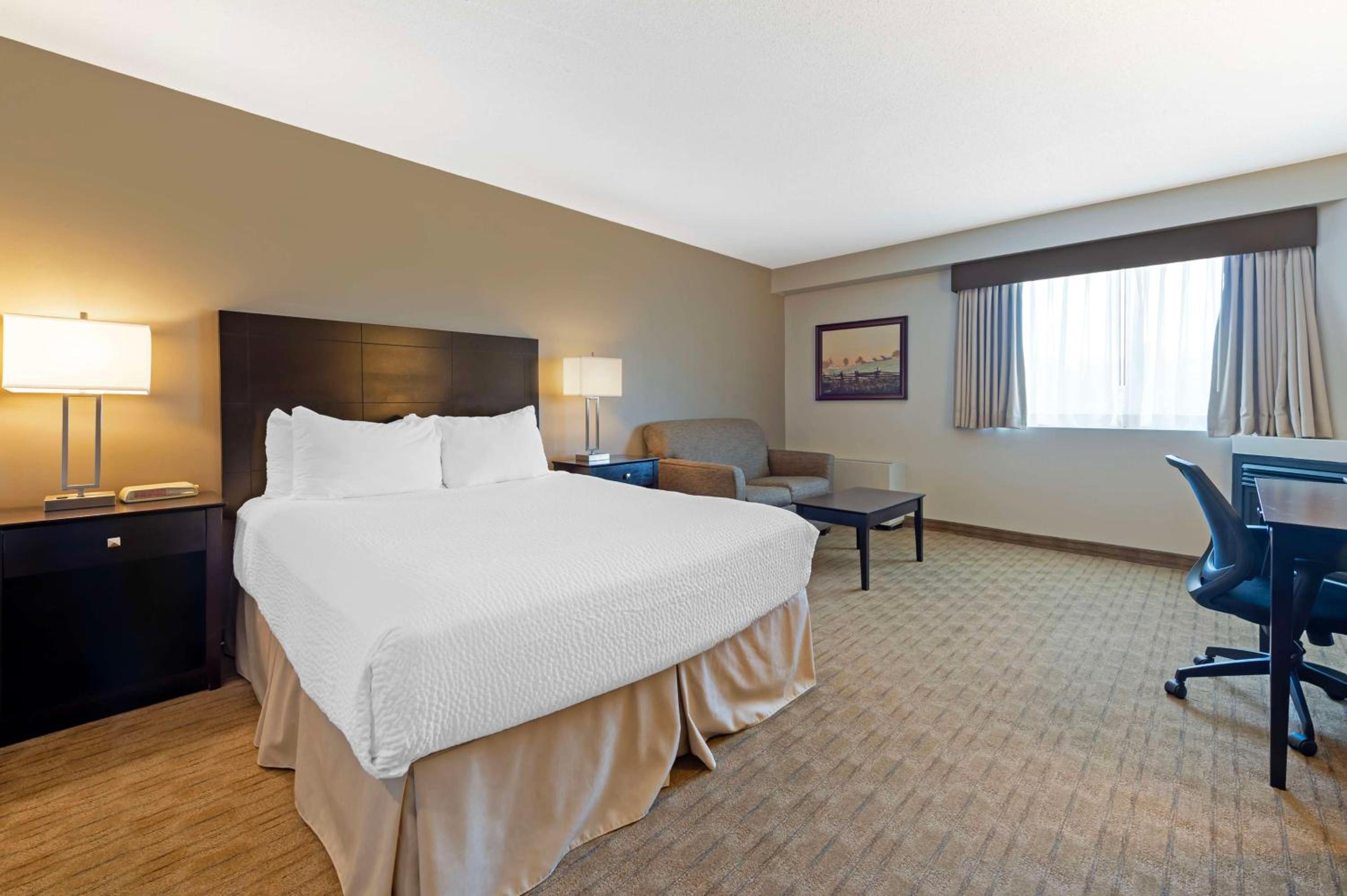 Queen Room with Gas Fireplace and Sofa Bed - Non-Smoking