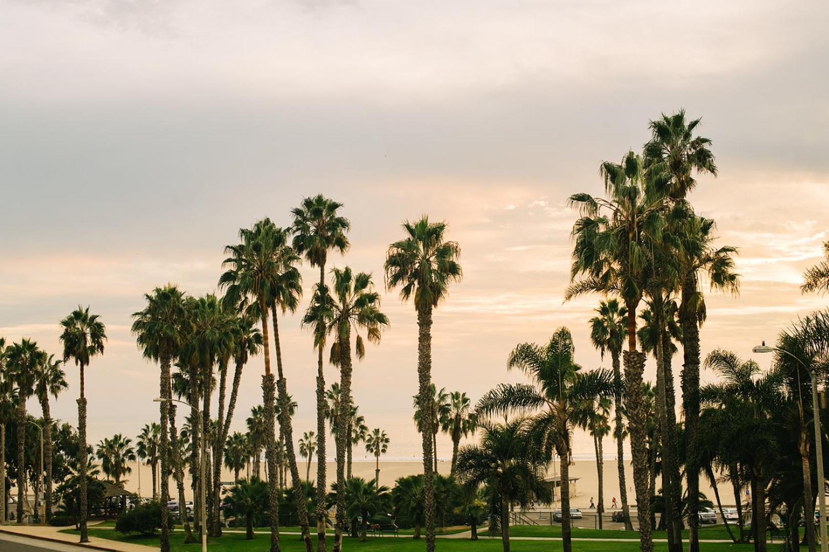 King Room with Ocean View