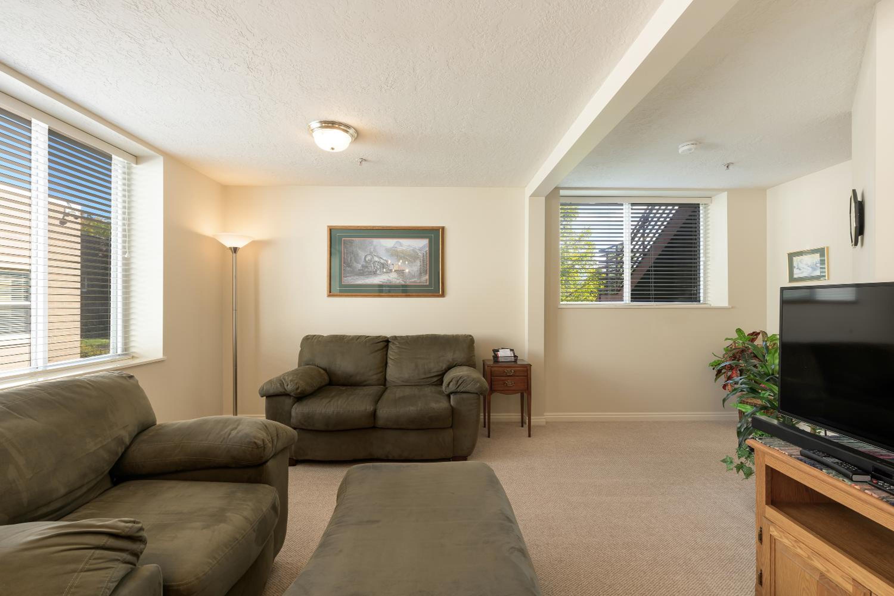 Deluxe One-Bedroom Apartment
