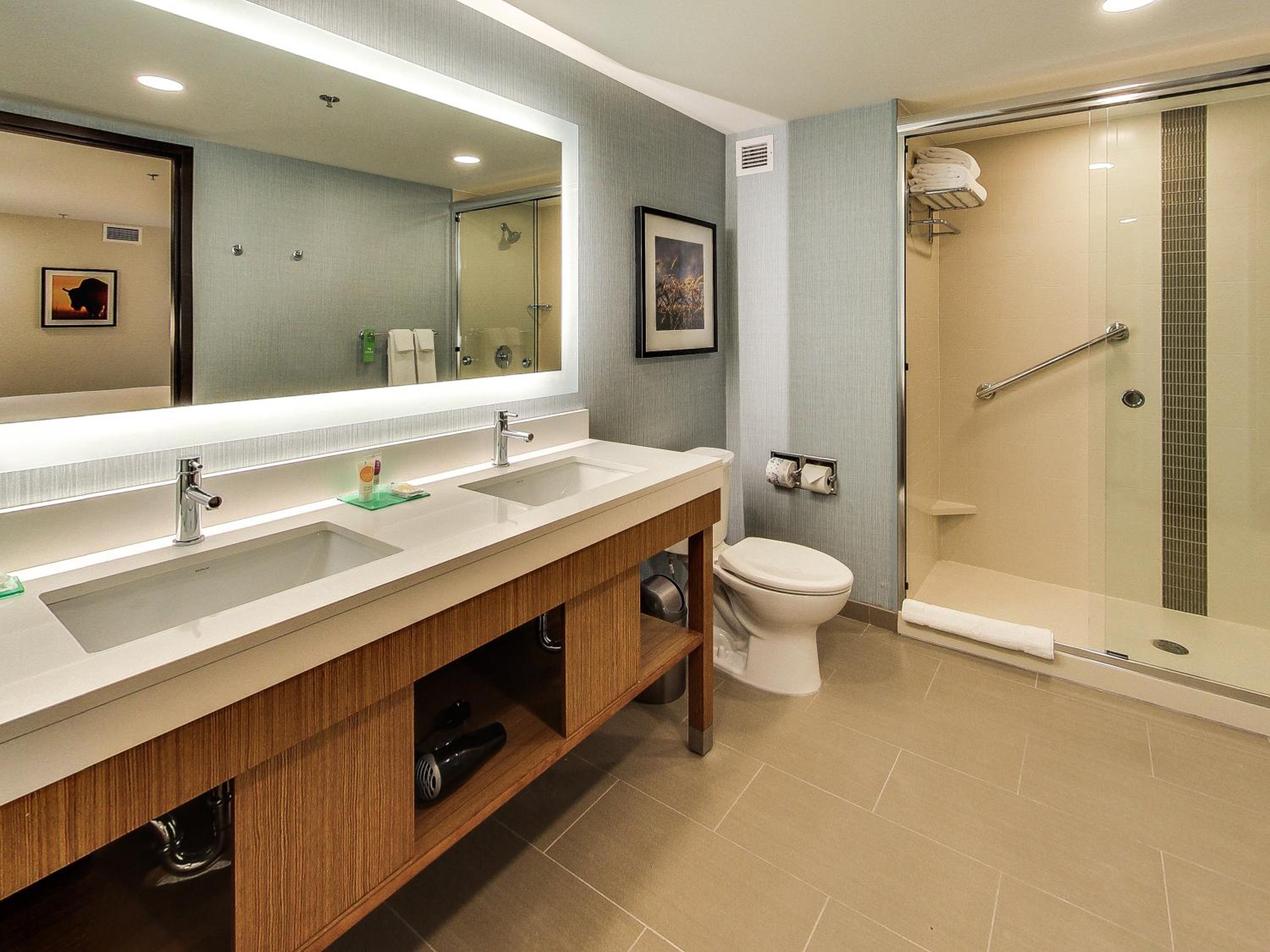 One-Bedroom King Suite with Sofa Bed